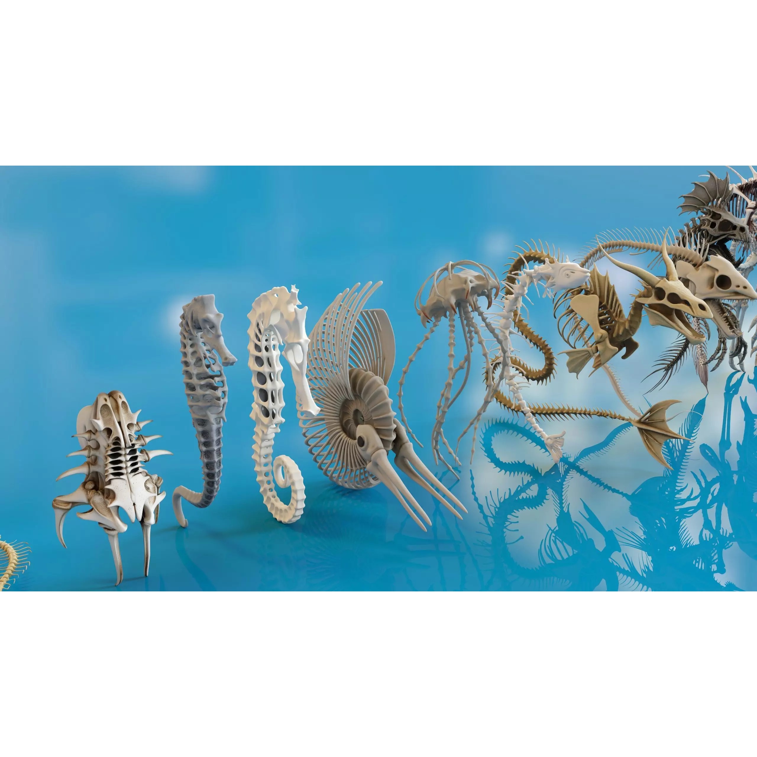 Fish and Underwater Creatures Skeleton Collection - Low-Poly 3D Model - View 21