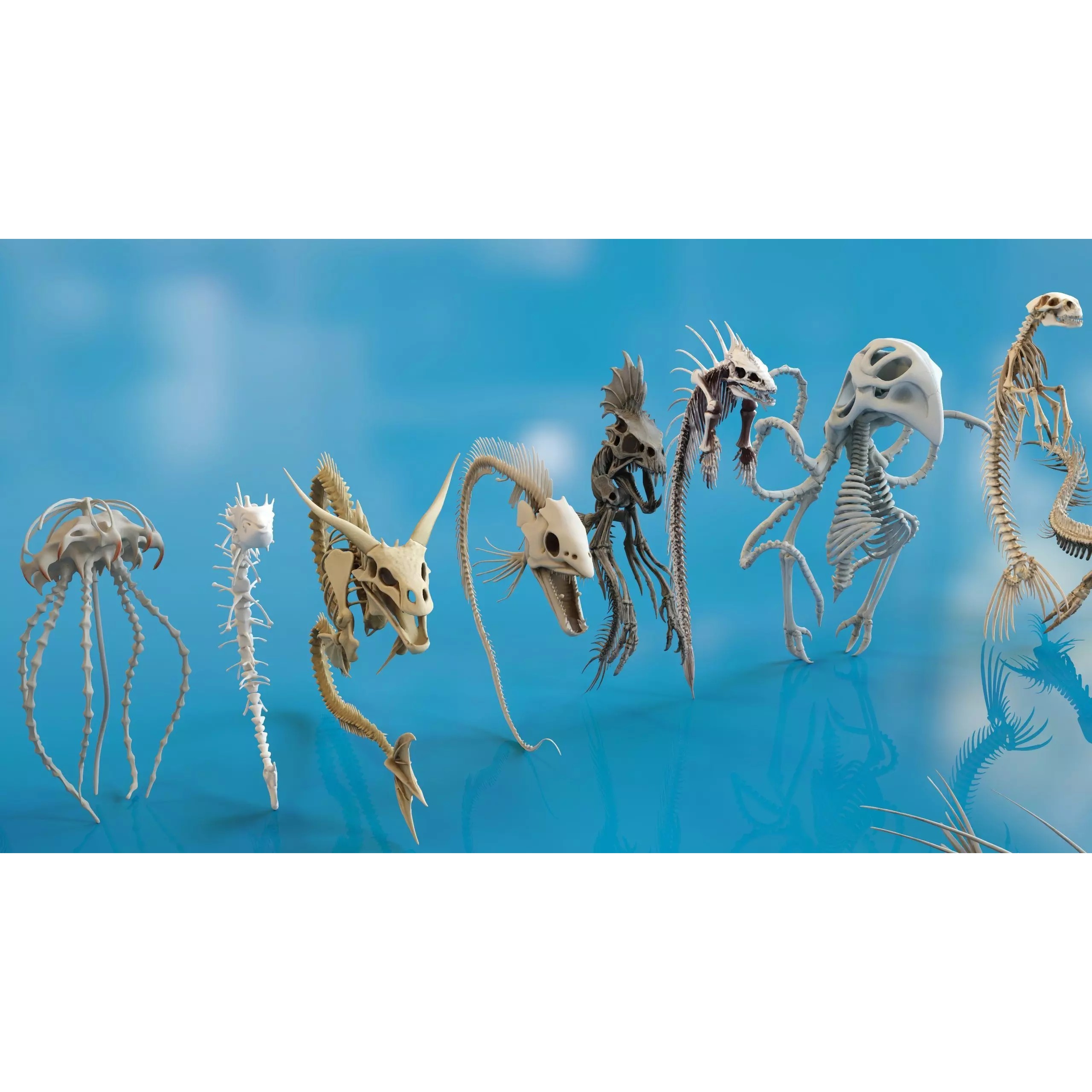 Fish and Underwater Creatures Skeleton Collection - Low-Poly 3D Model - View 23