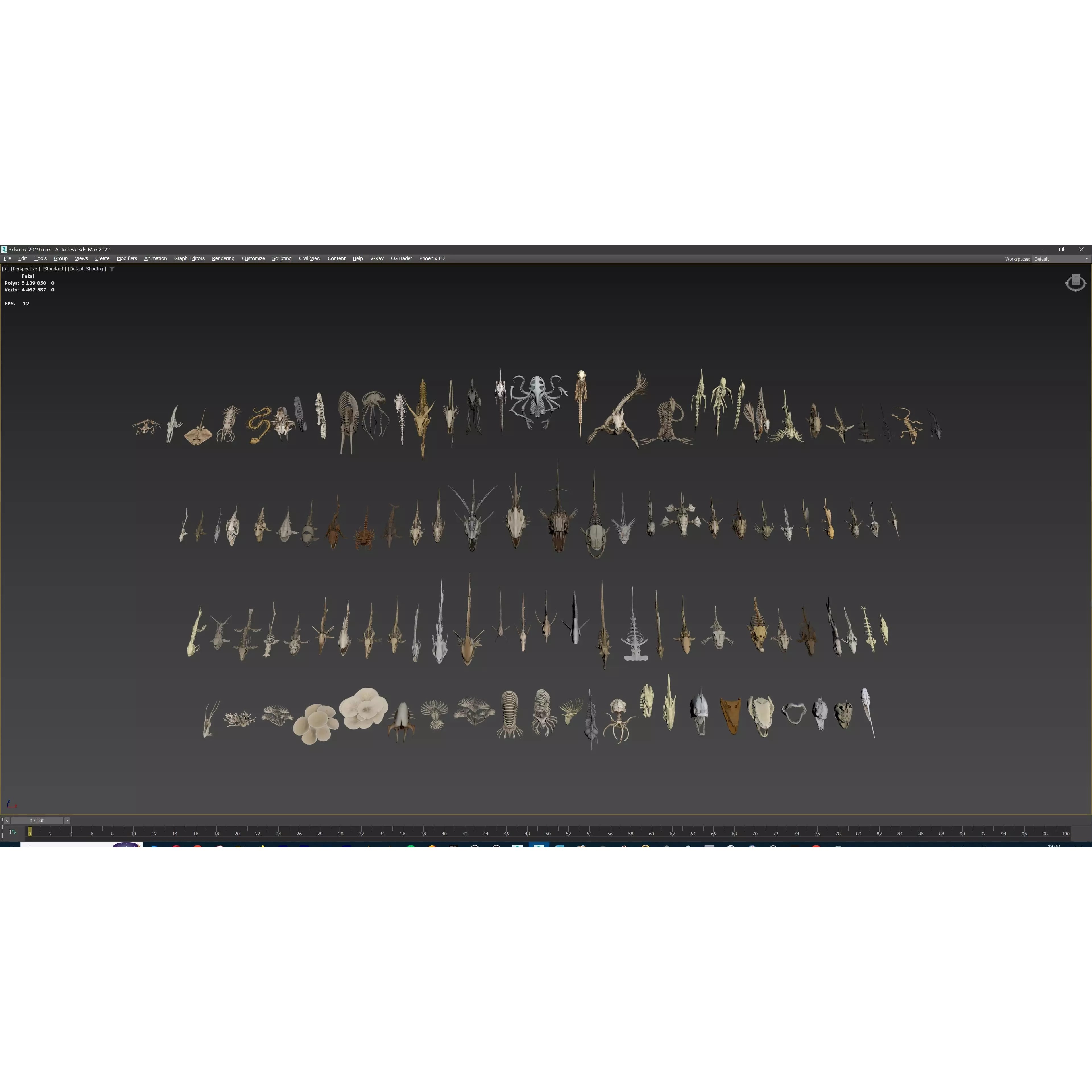 Fish and Underwater Creatures Skeleton Collection - Low-Poly 3D Model - View 27