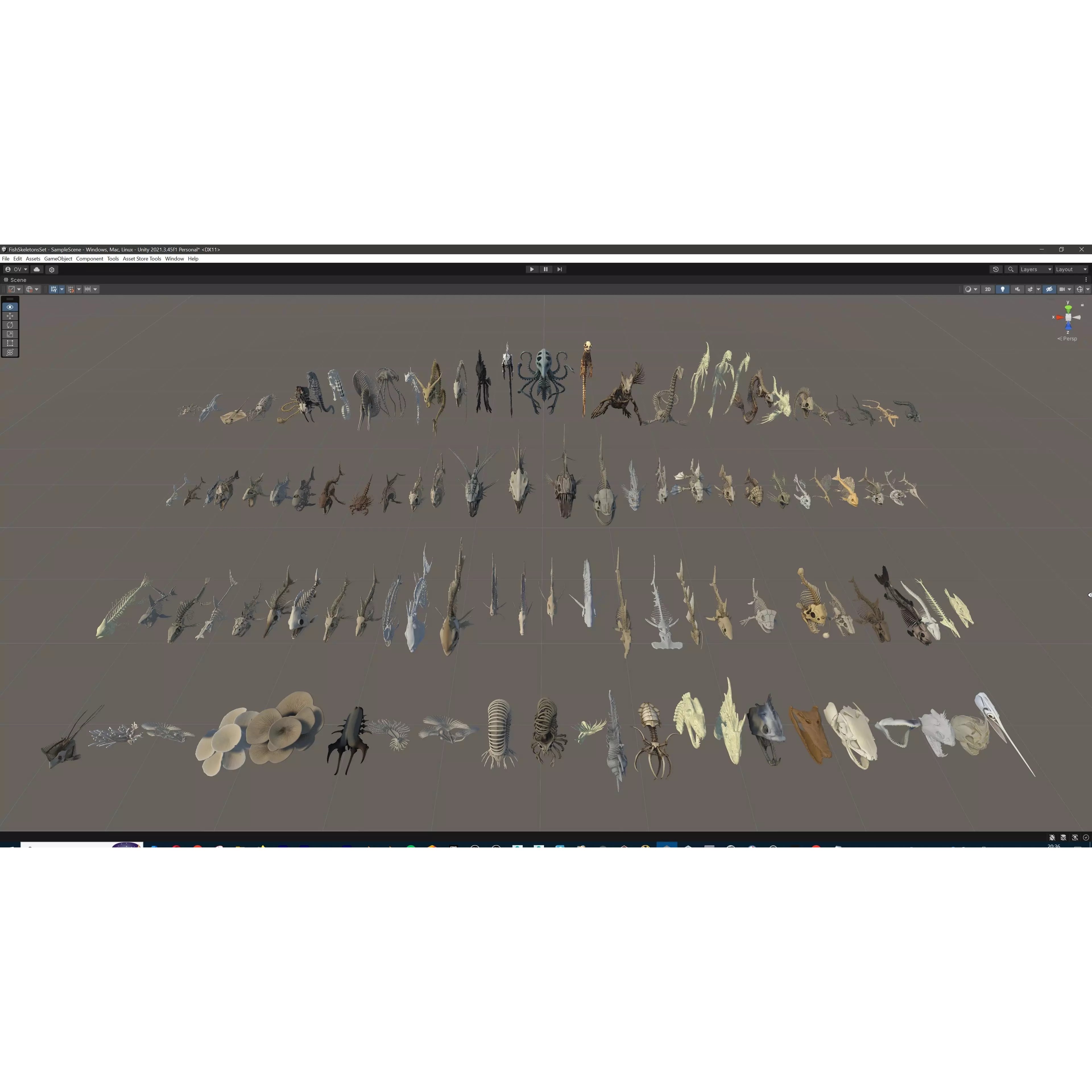 Fish and Underwater Creatures Skeleton Collection - Low-Poly 3D Model - View 28