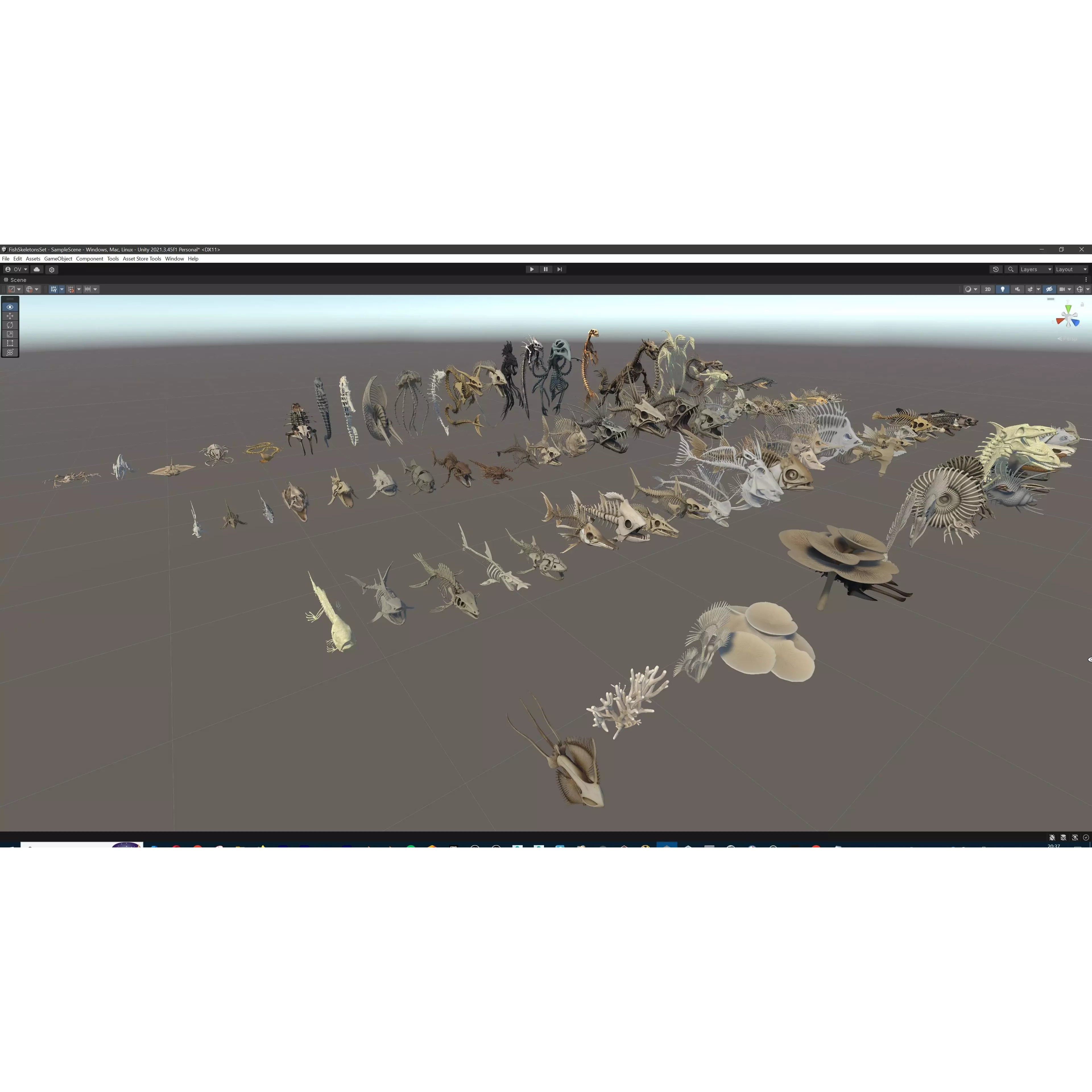 Fish and Underwater Creatures Skeleton Collection - Low-Poly 3D Model - View 30