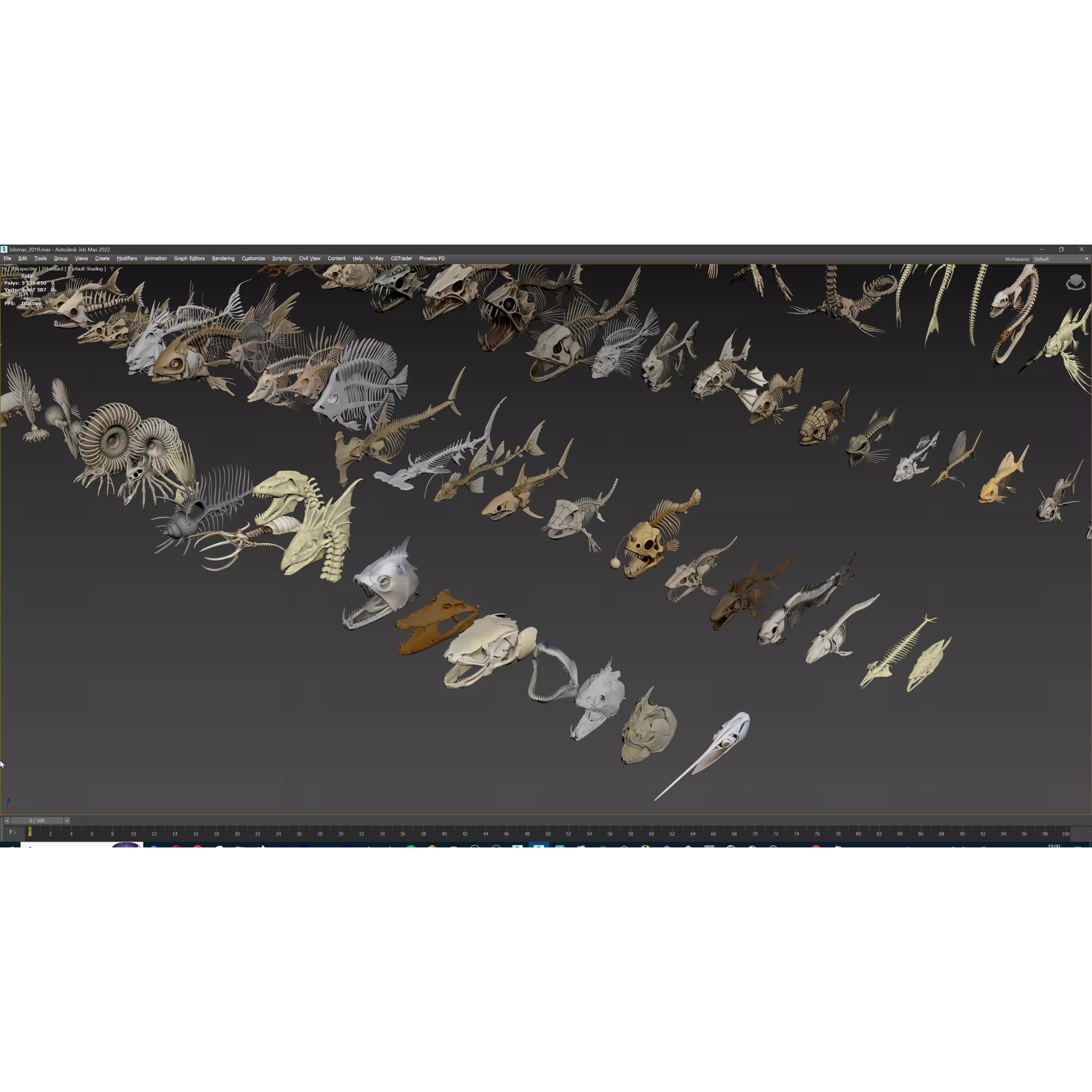 Fish and Underwater Creatures Skeleton Collection - Low-Poly 3D Model - View 32