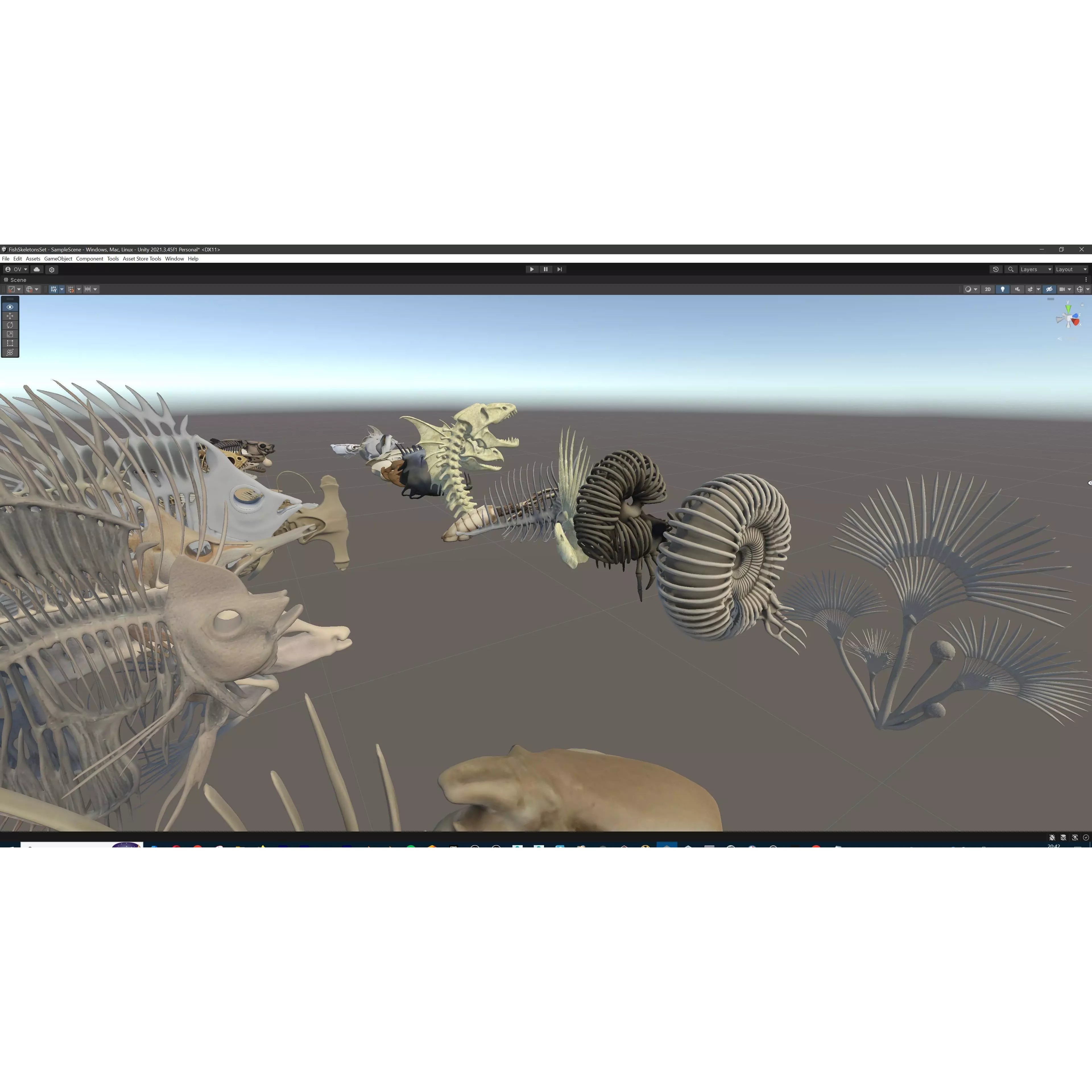 Fish and Underwater Creatures Skeleton Collection - Low-Poly 3D Model - View 33