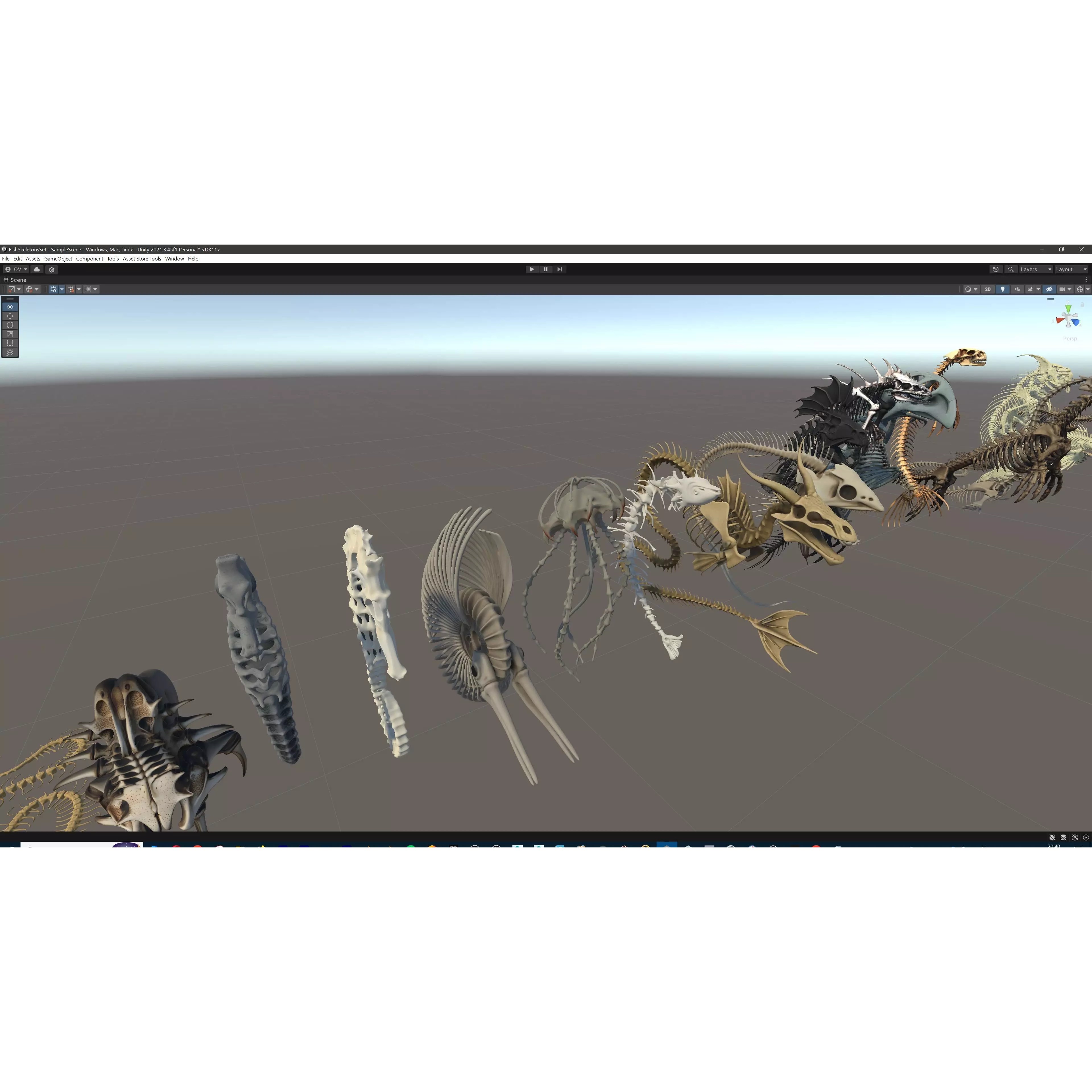 Fish and Underwater Creatures Skeleton Collection - Low-Poly 3D Model - View 35