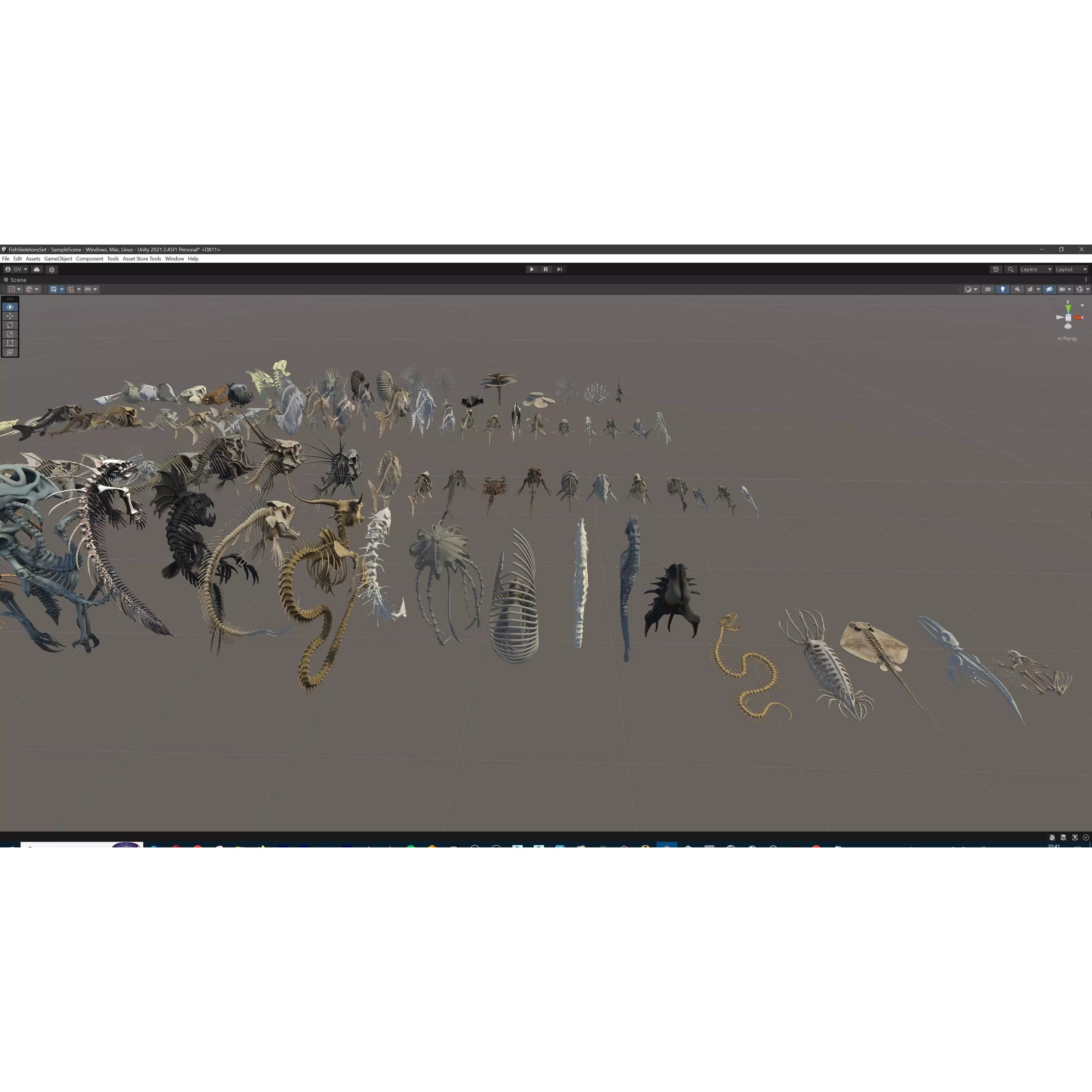 Fish and Underwater Creatures Skeleton Collection - Low-Poly 3D Model - View 37