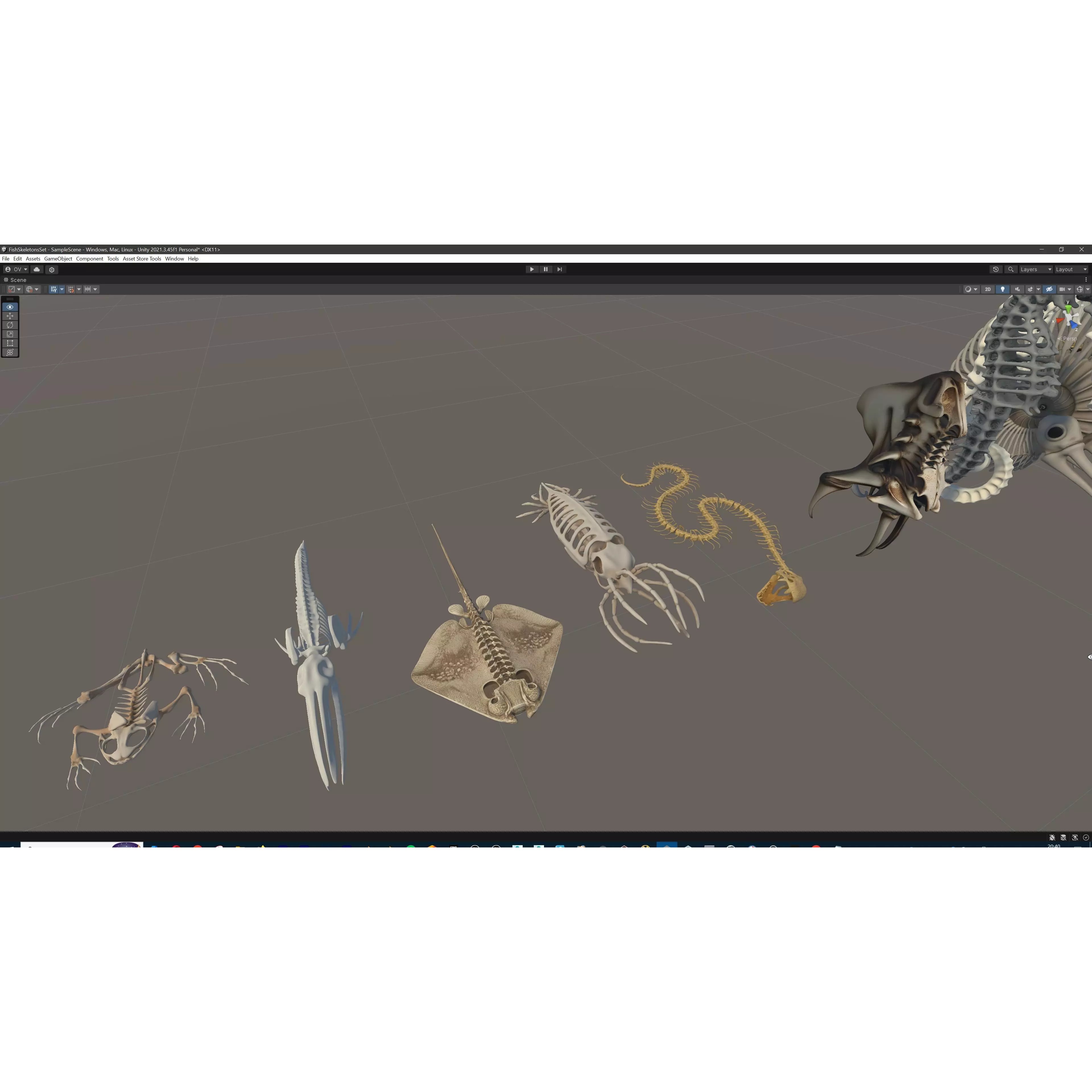 Fish and Underwater Creatures Skeleton Collection - Low-Poly 3D Model - View 38
