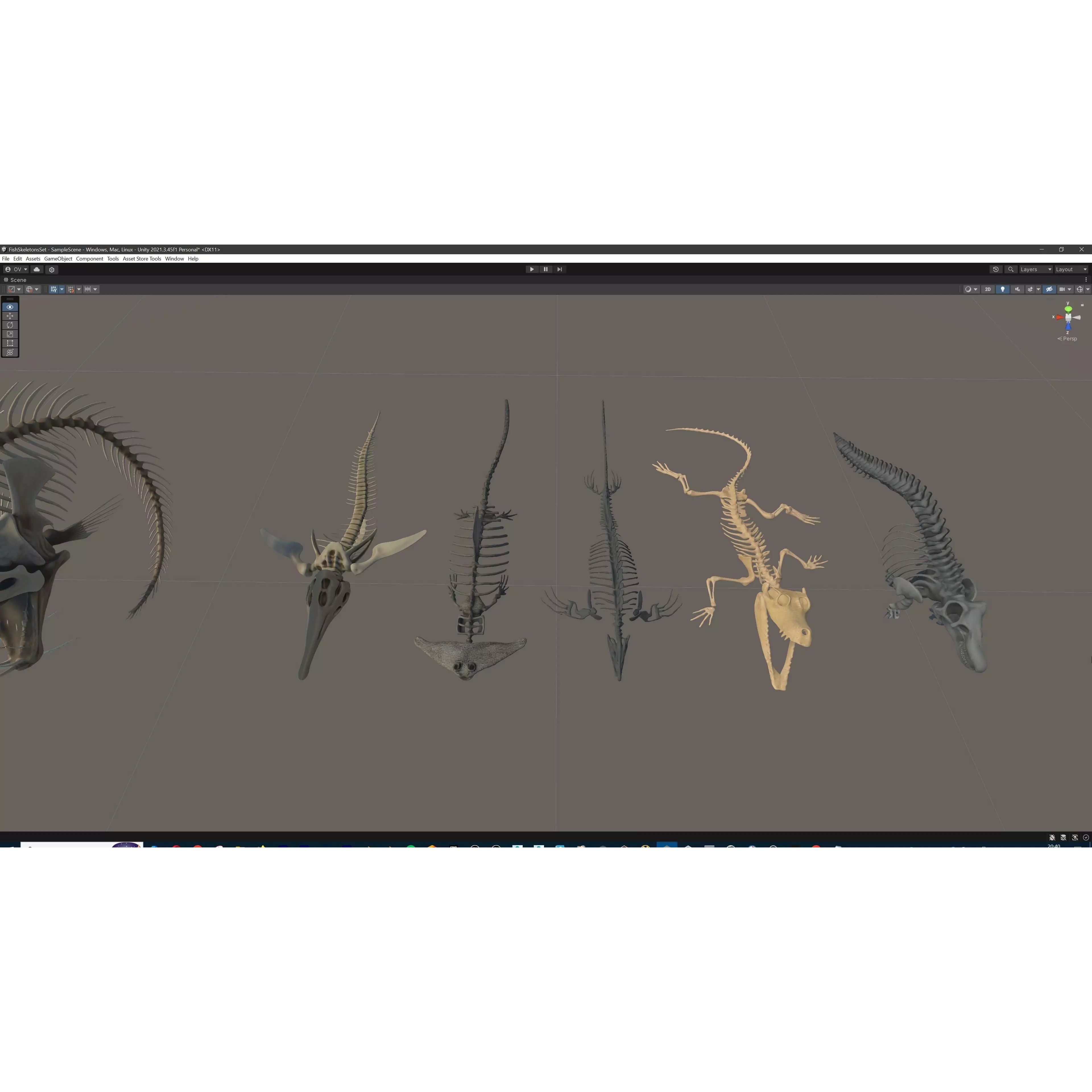 Fish and Underwater Creatures Skeleton Collection - Low-Poly 3D Model - View 39