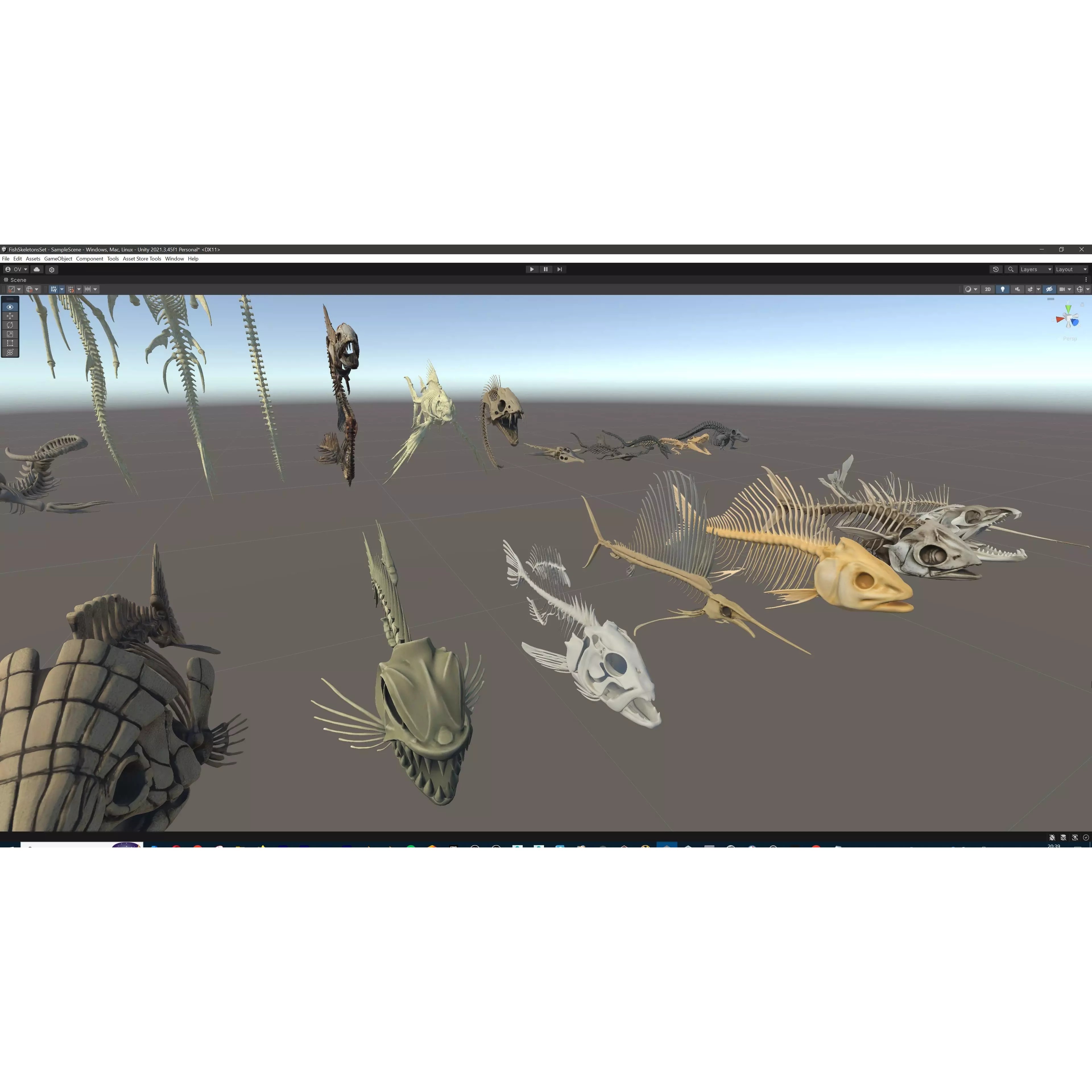 Fish and Underwater Creatures Skeleton Collection - Low-Poly 3D Model - View 41