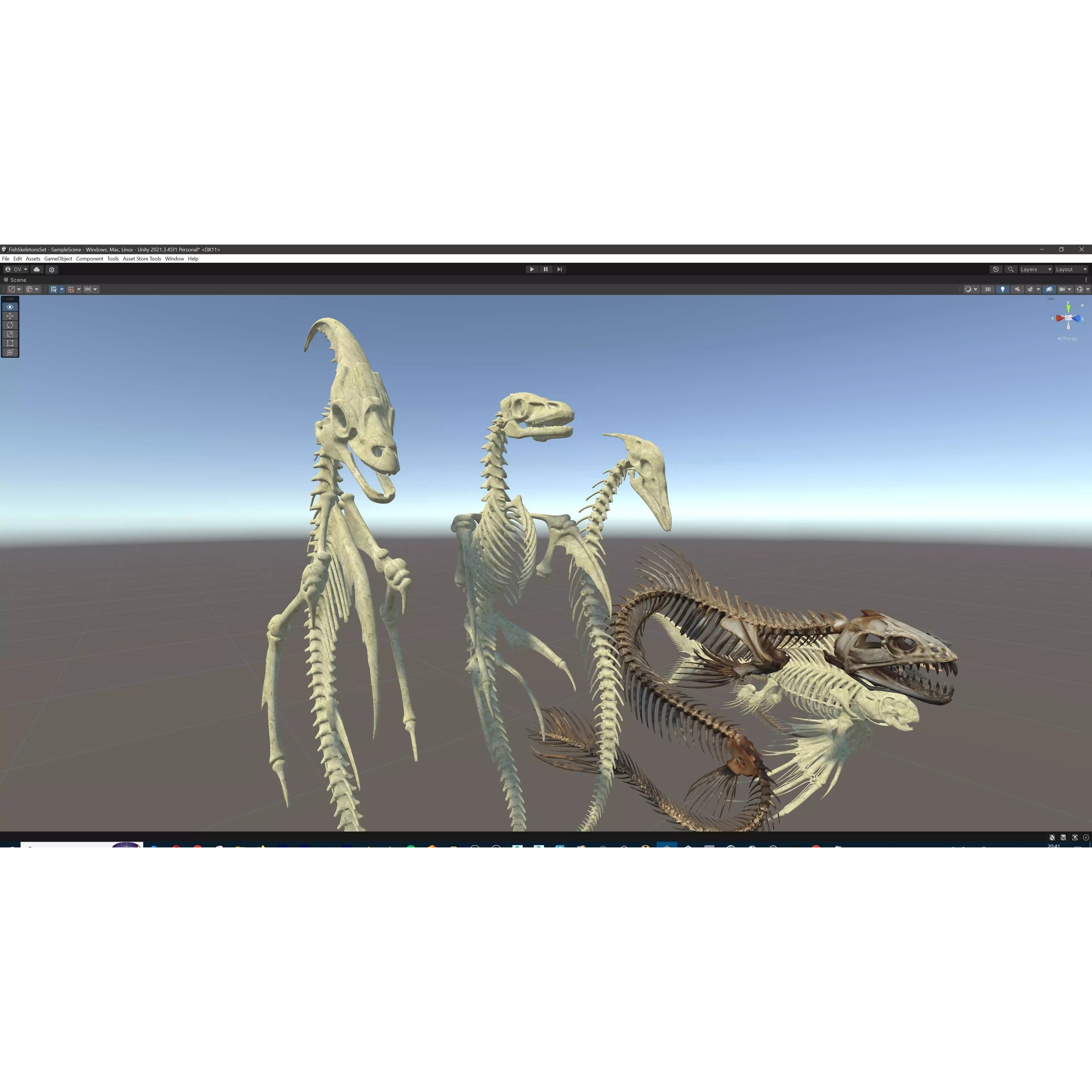 Fish and Underwater Creatures Skeleton Collection - Low-Poly 3D Model - View 42