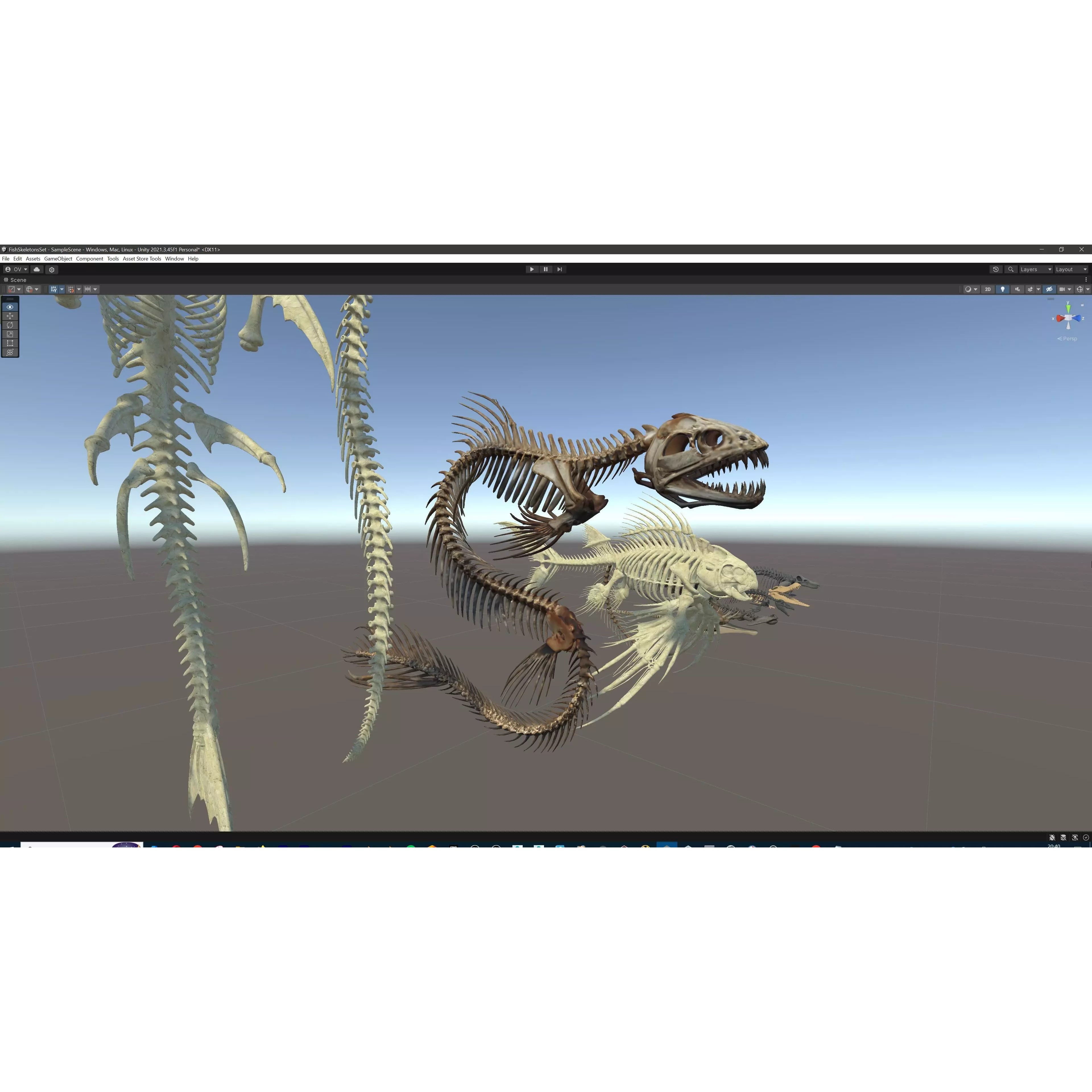 Fish and Underwater Creatures Skeleton Collection - Low-Poly 3D Model - View 43