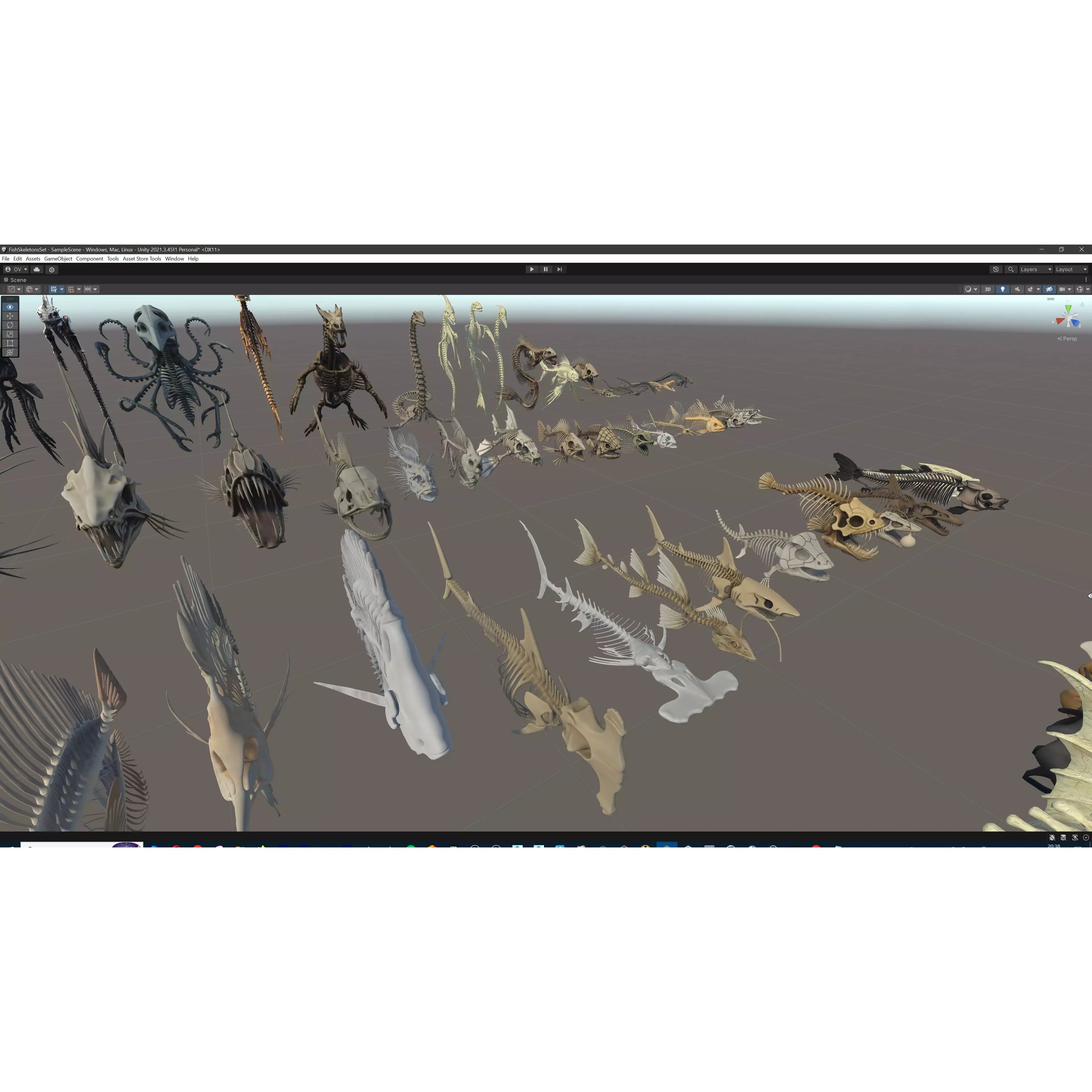 Fish and Underwater Creatures Skeleton Collection - Low-Poly 3D Model - View 44