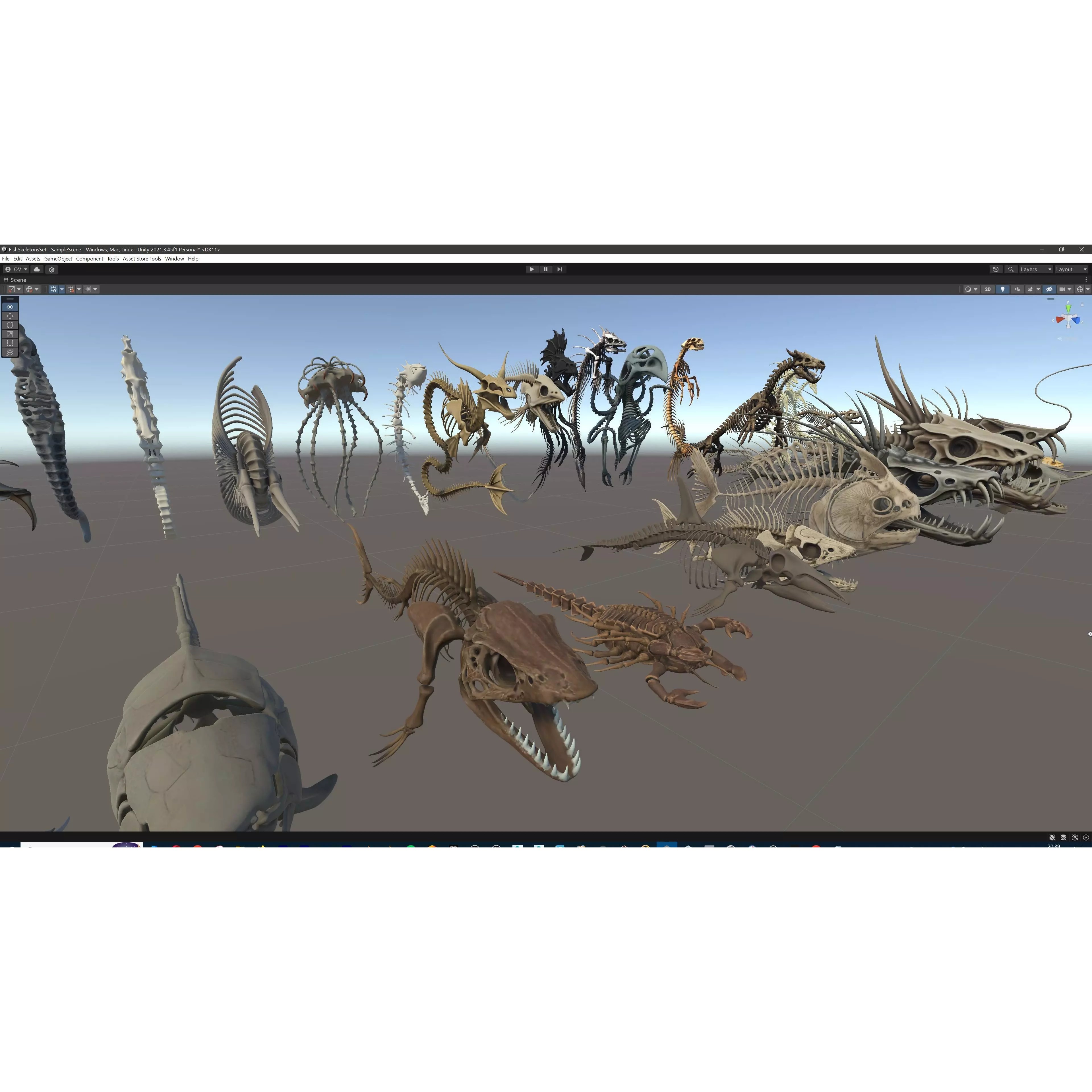 Fish and Underwater Creatures Skeleton Collection - Low-Poly 3D Model - View 47