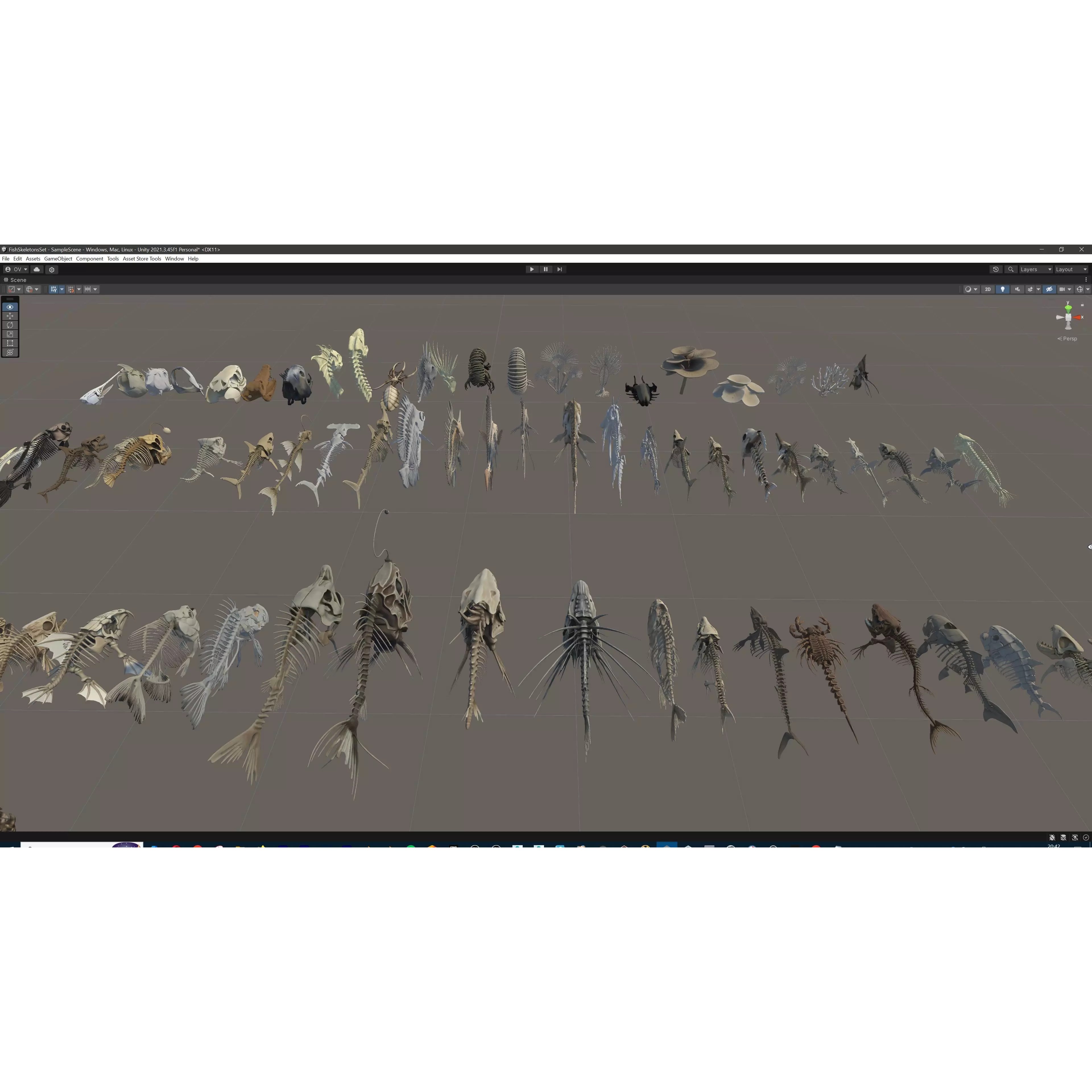 Fish and Underwater Creatures Skeleton Collection - Low-Poly 3D Model - View 48