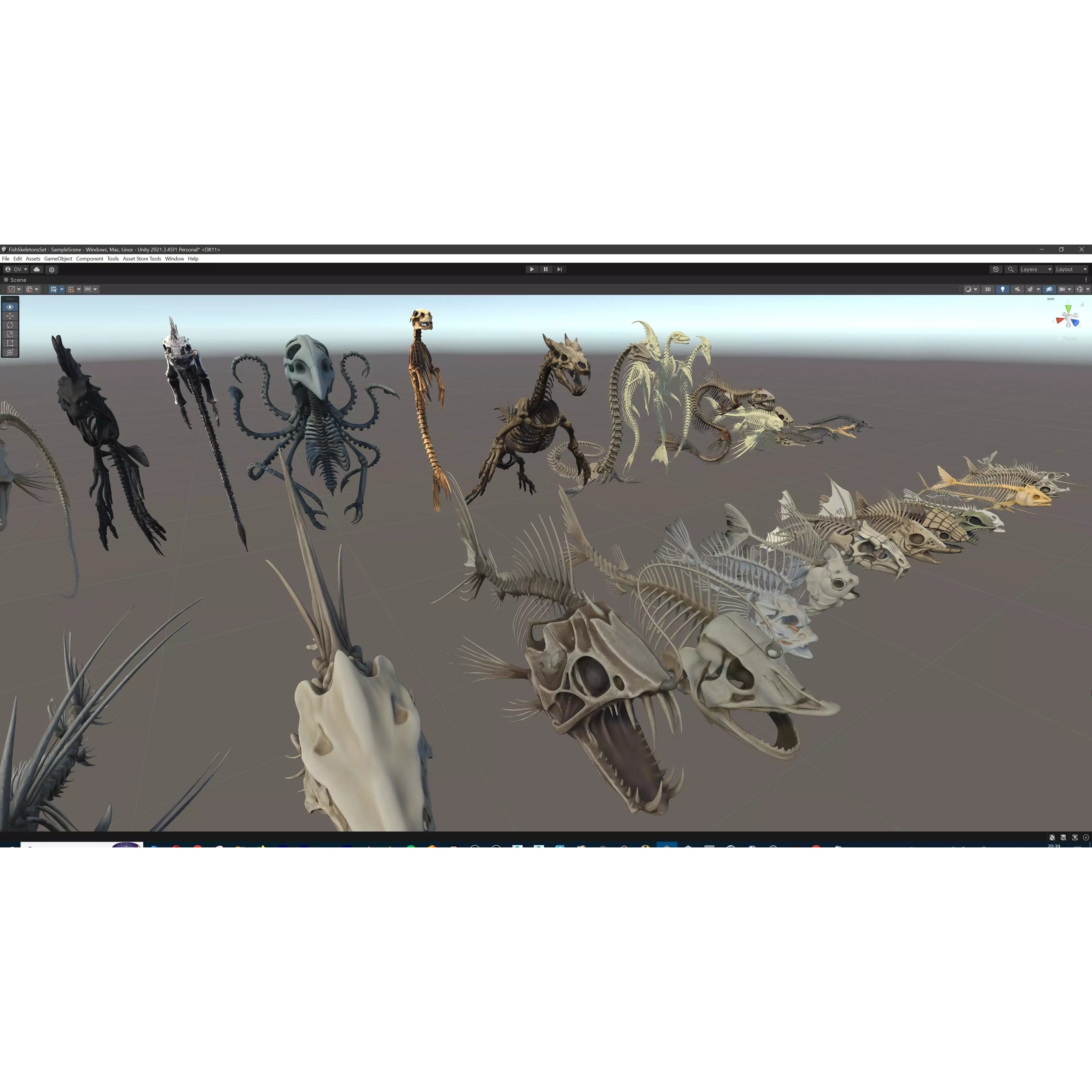 Fish and Underwater Creatures Skeleton Collection - Low-Poly 3D Model - View 50