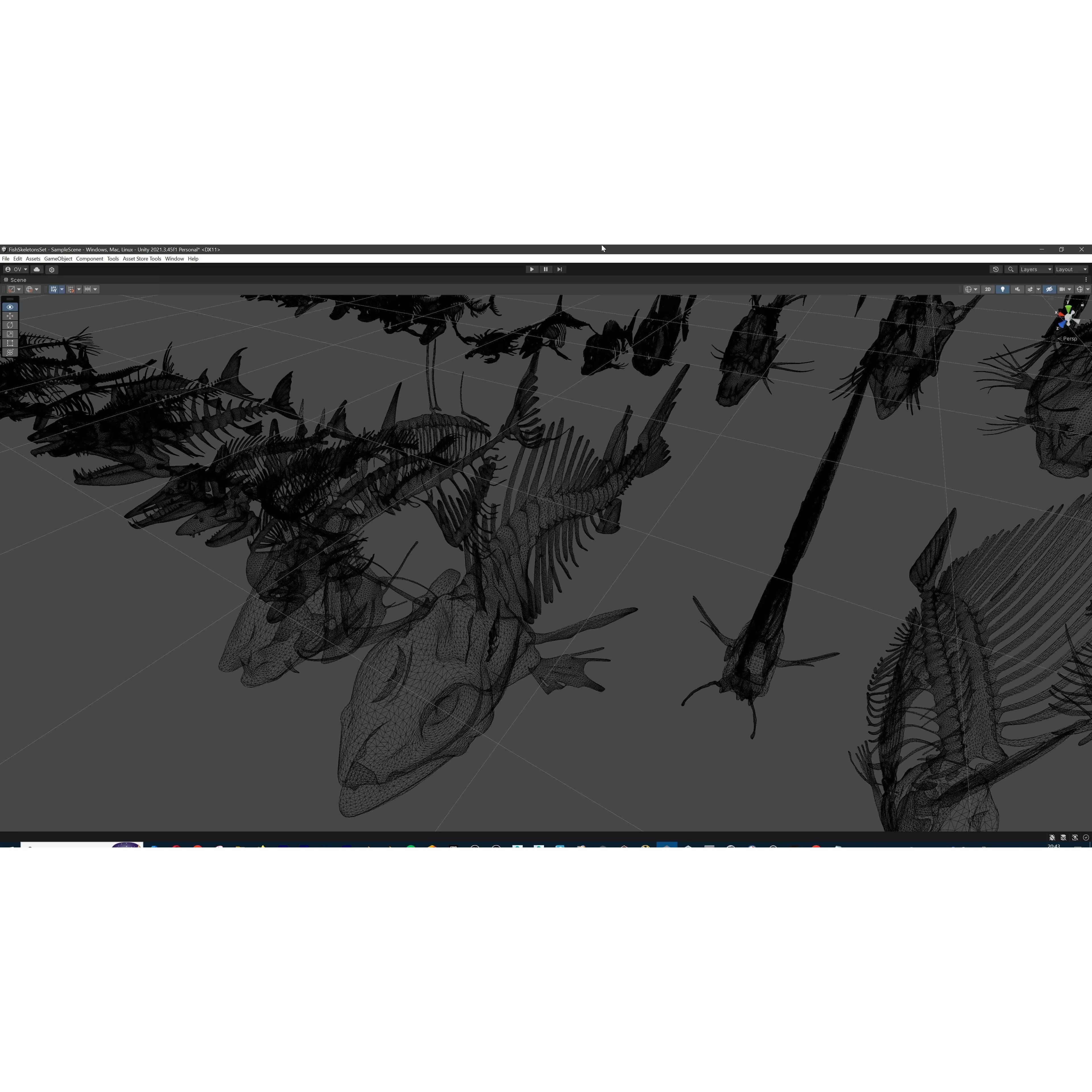 Fish and Underwater Creatures Skeleton Collection - Low-Poly 3D Model - View 51