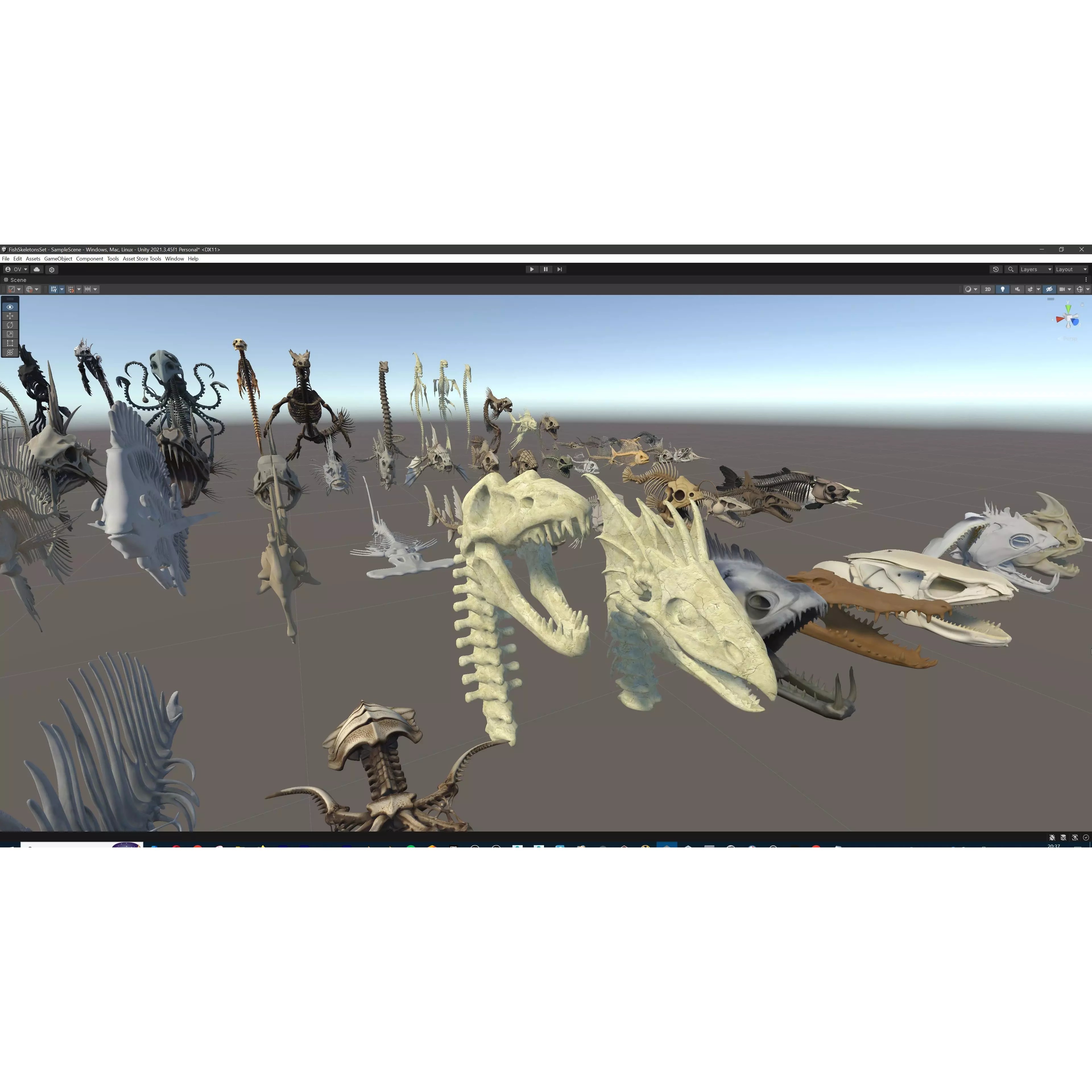 Fish and Underwater Creatures Skeleton Collection - Low-Poly 3D Model - View 52