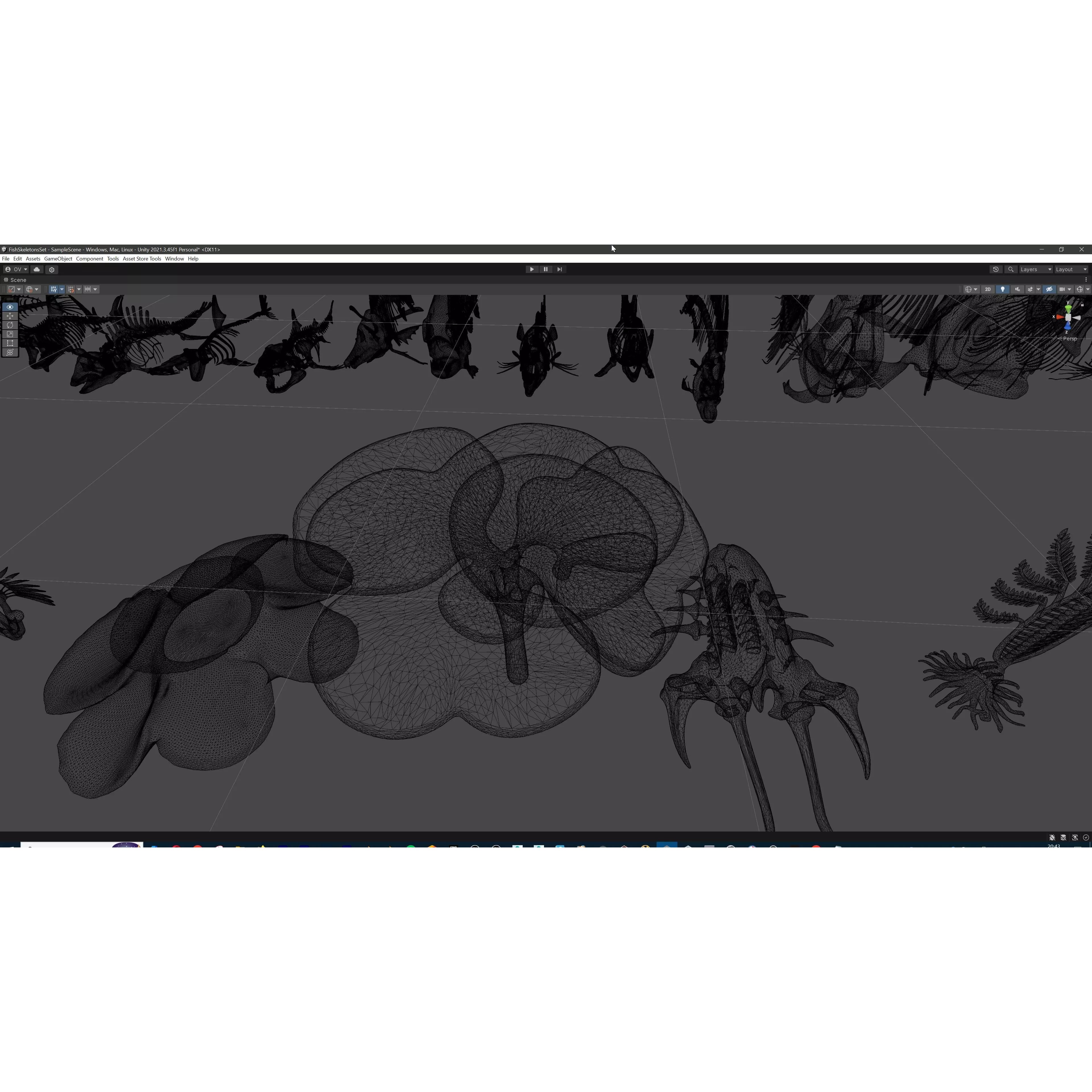 Fish and Underwater Creatures Skeleton Collection - Low-Poly 3D Model - View 53