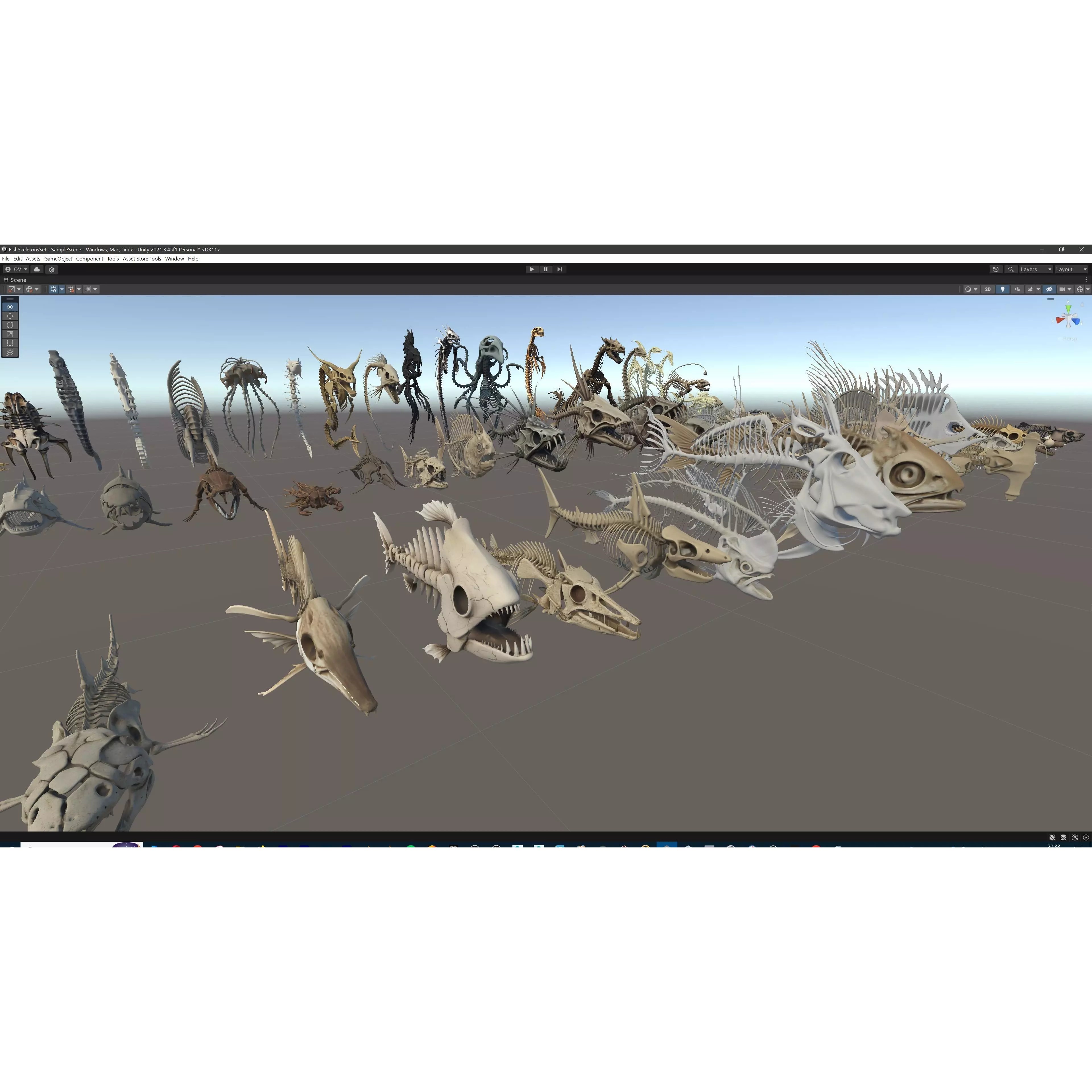 Fish and Underwater Creatures Skeleton Collection - Low-Poly 3D Model - View 55