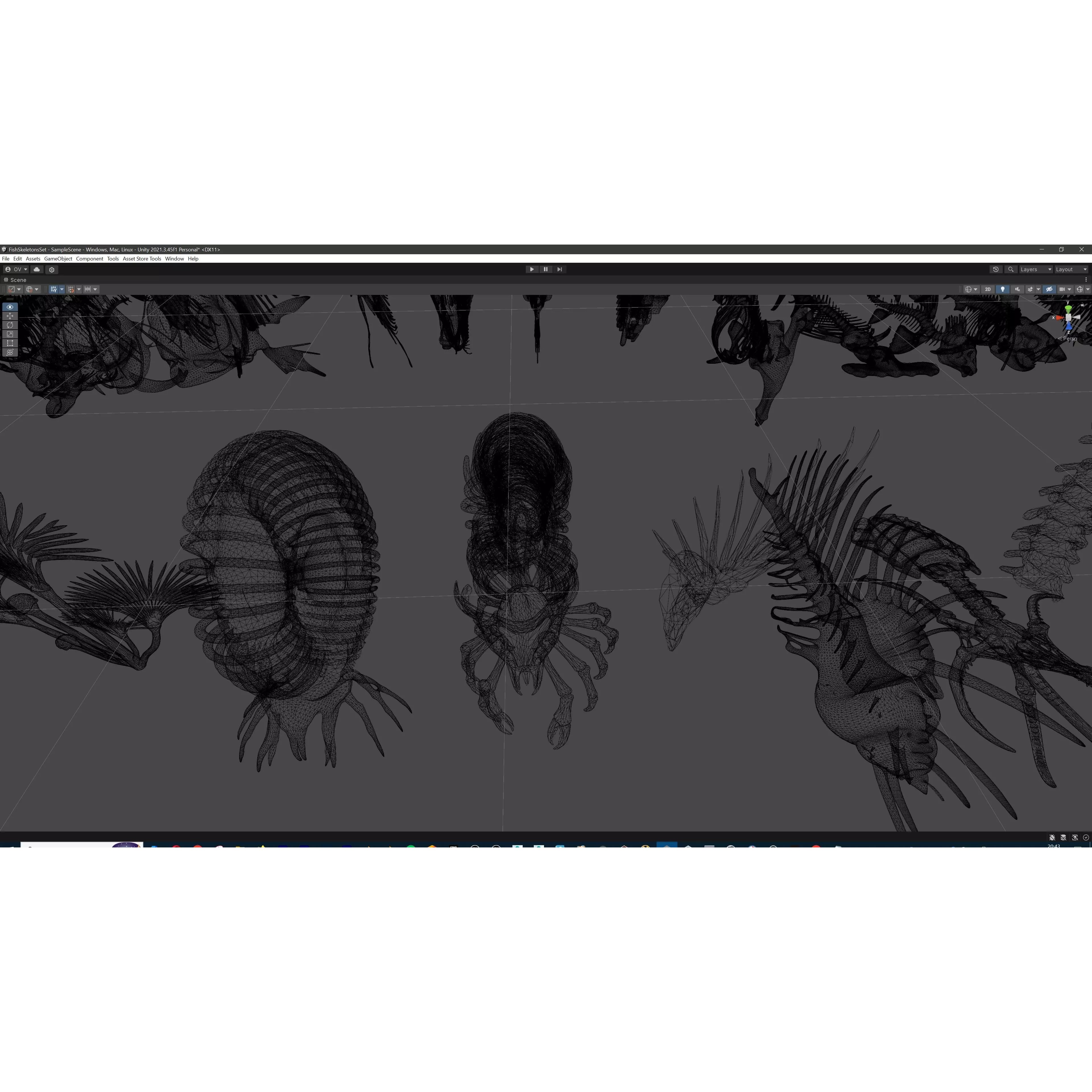 Fish and Underwater Creatures Skeleton Collection - Low-Poly 3D Model - View 63