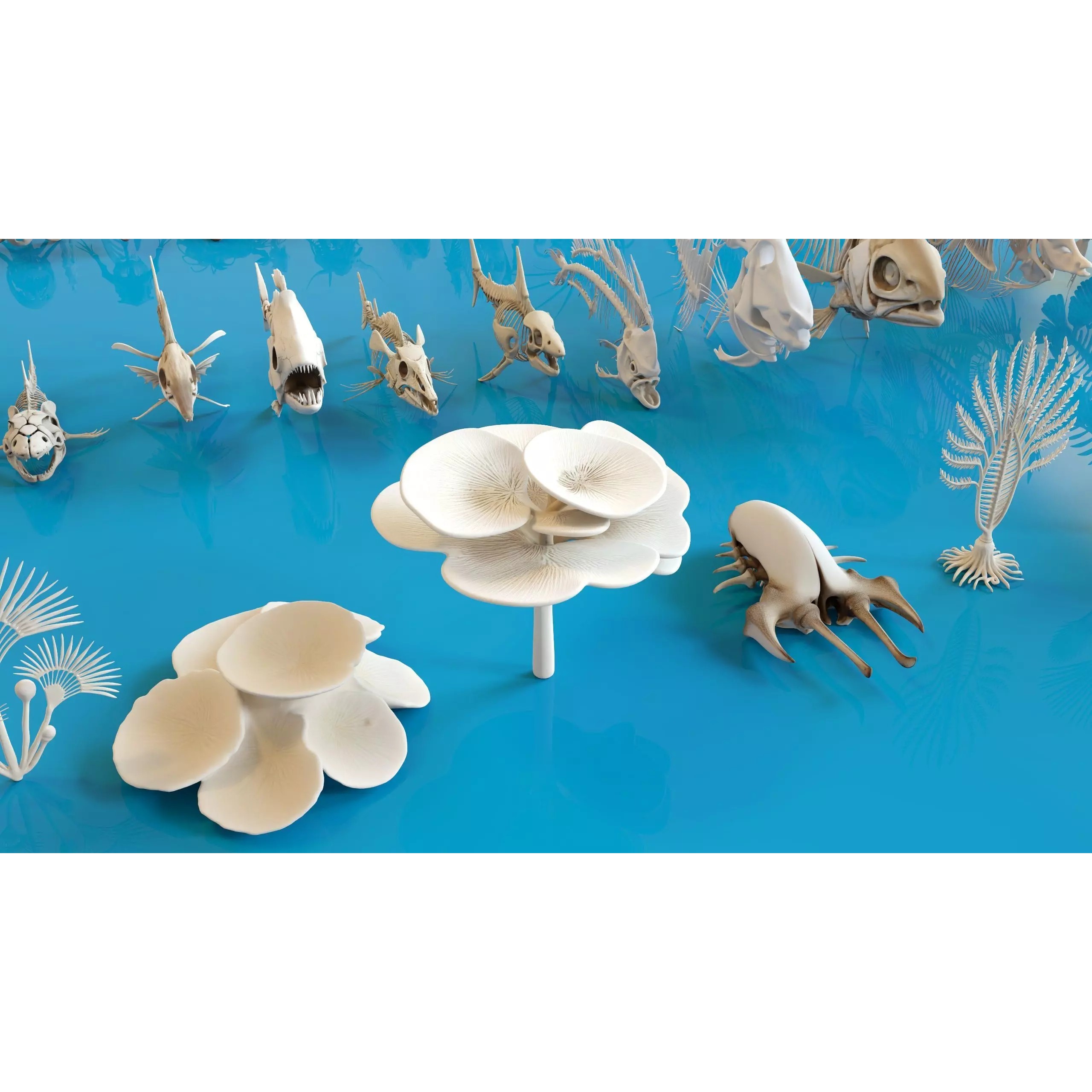 Fish and Underwater Creatures Skeleton Collection - Low-Poly 3D Model - View 8