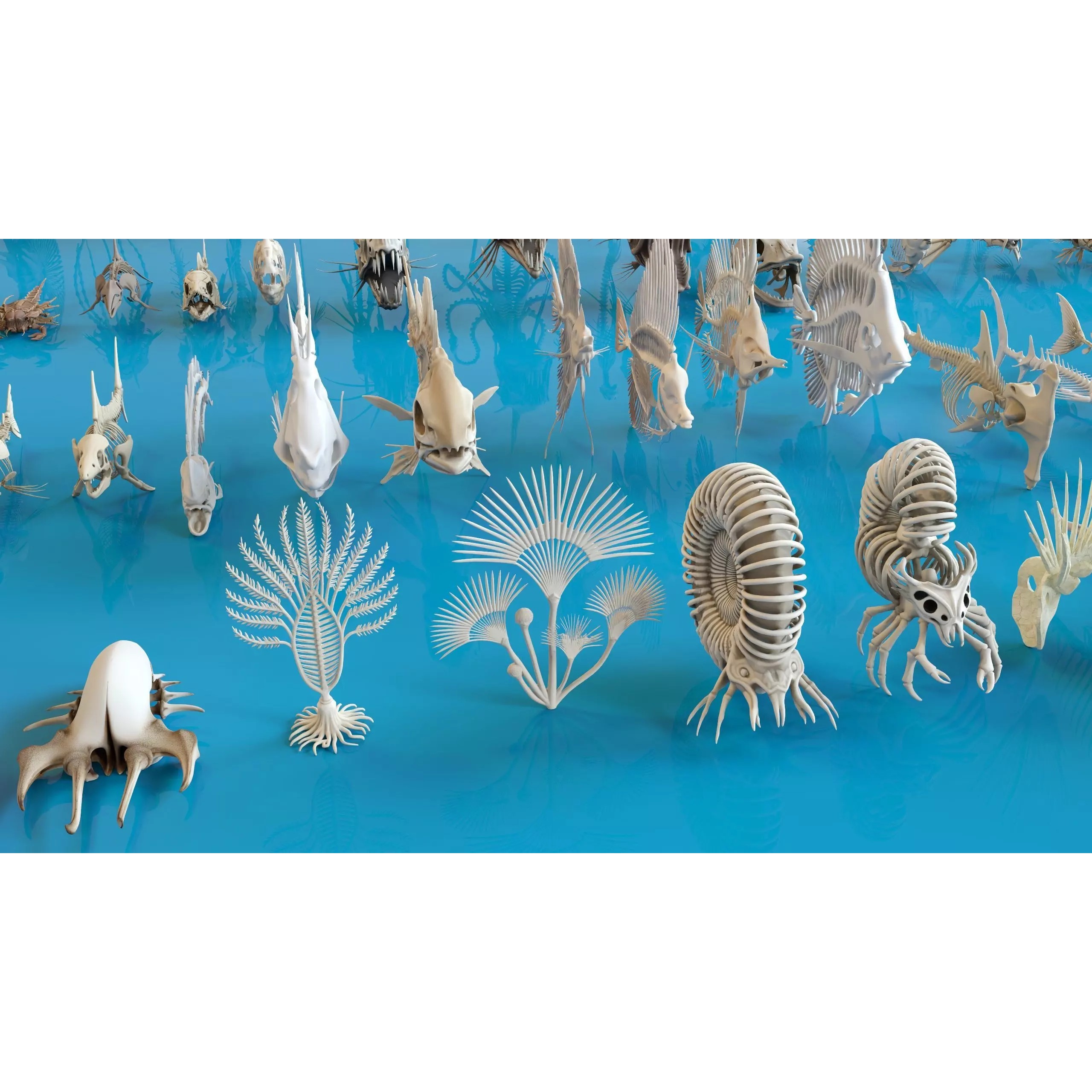 Fish and Underwater Creatures Skeleton Collection - Low-Poly 3D Model - View 9