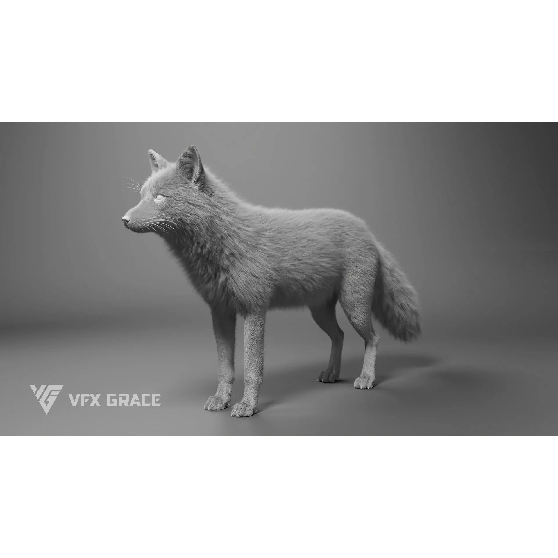 Red Fox Rigged - Game-Ready 3D Model - View 12