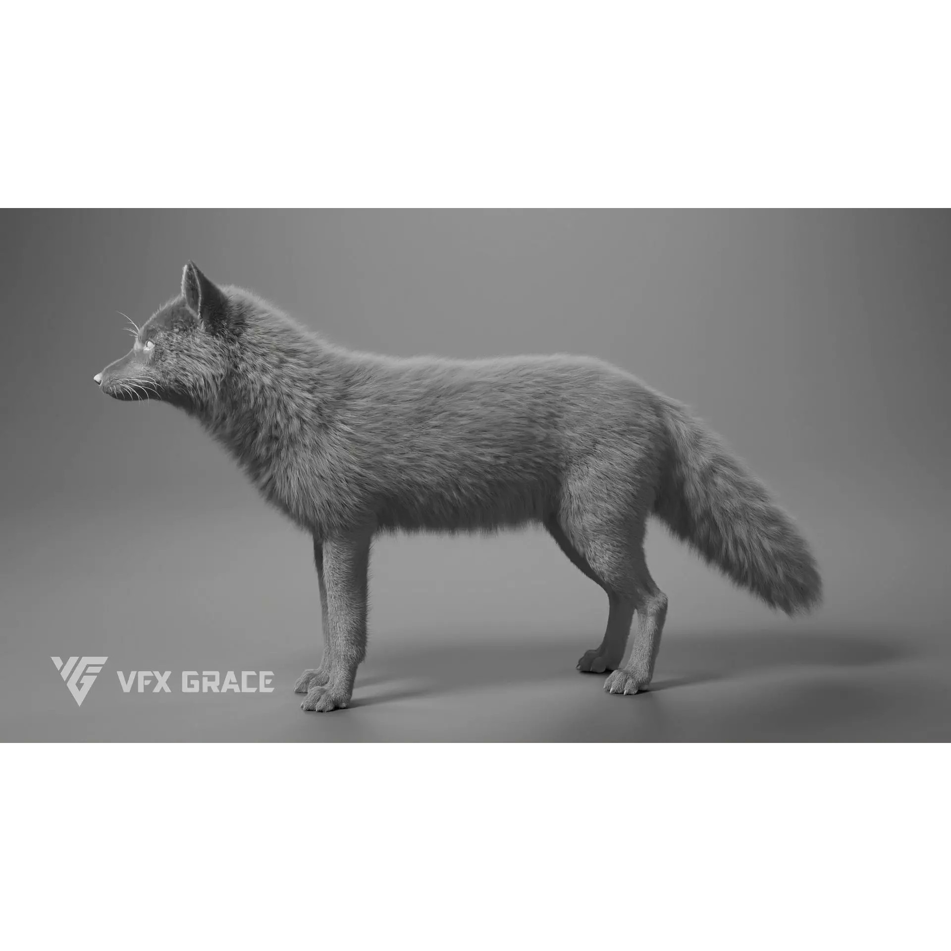 Red Fox Rigged - Game-Ready 3D Model - View 13