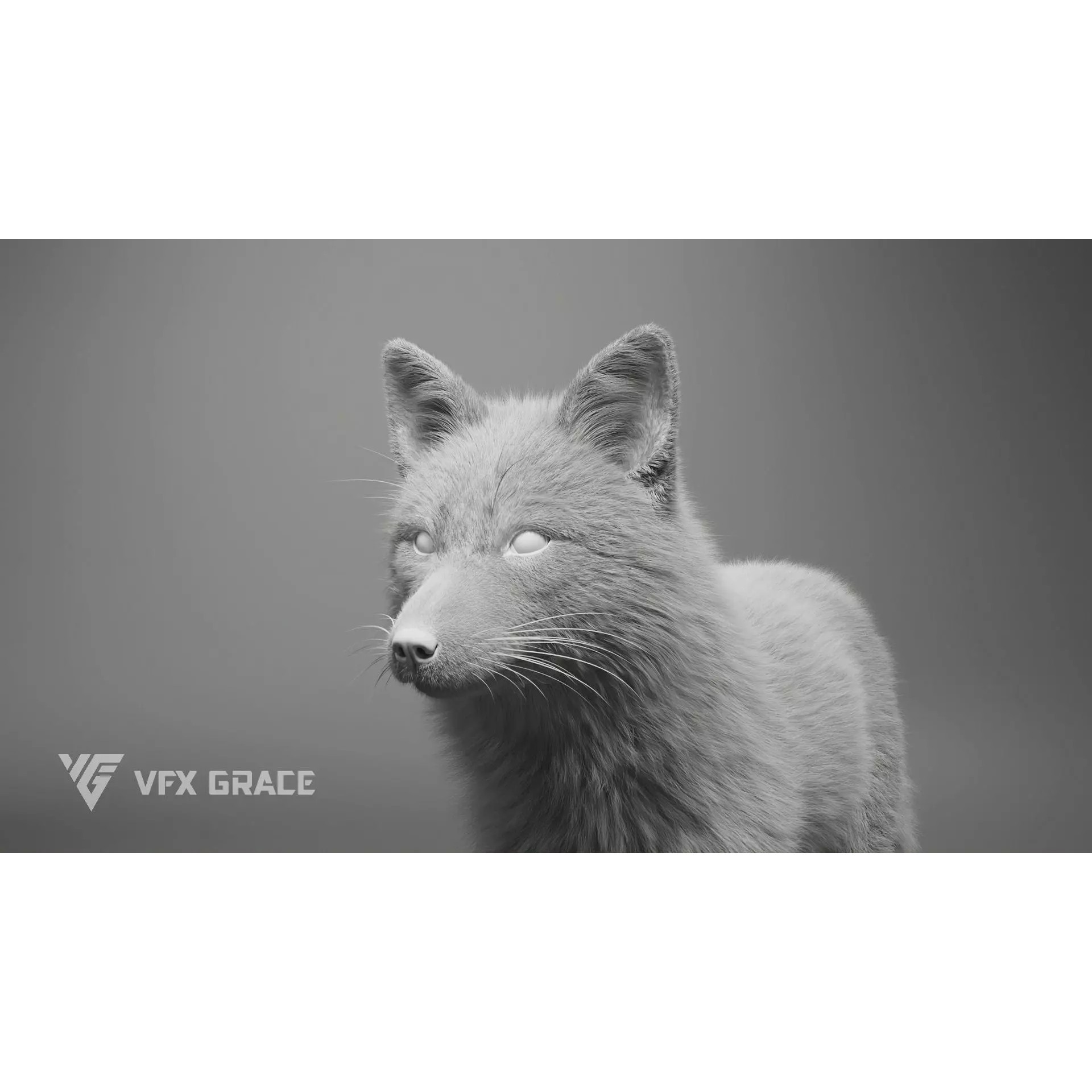 Red Fox Rigged - Game-Ready 3D Model - View 14