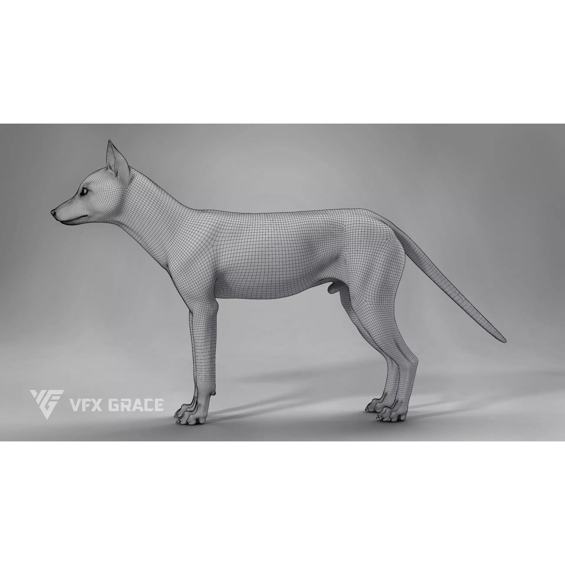 Red Fox Rigged - Game-Ready 3D Model - View 18