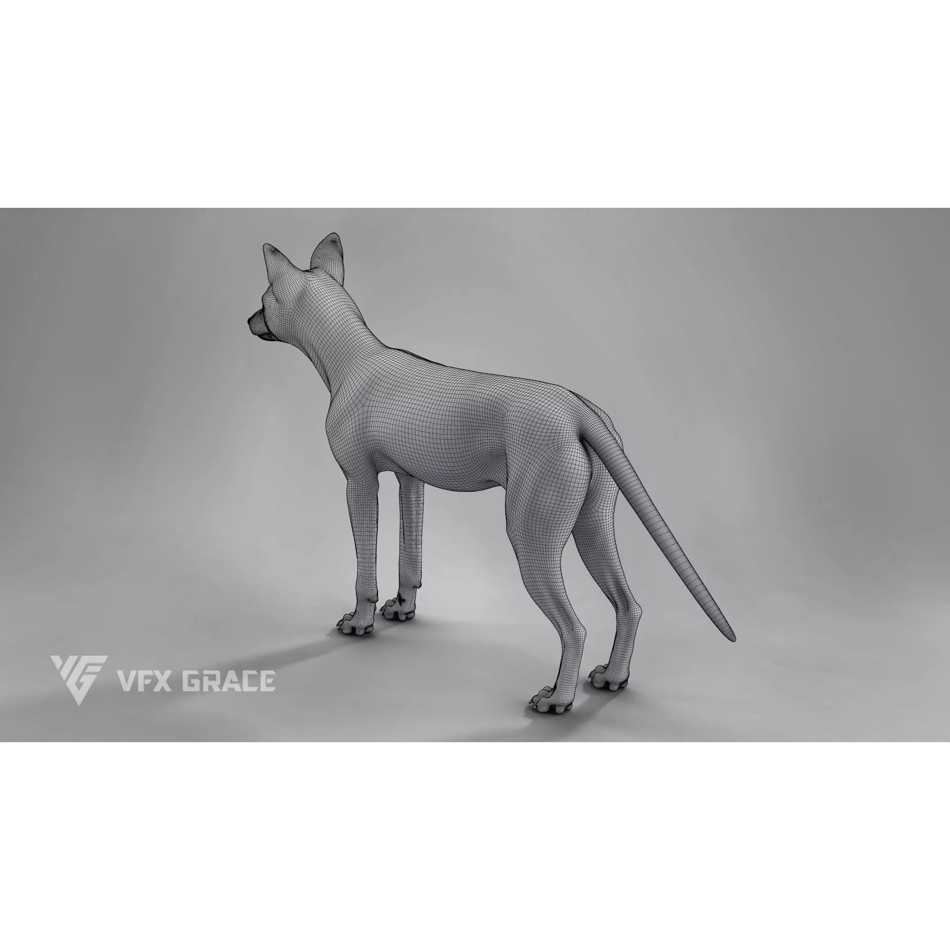 Red Fox Rigged - Game-Ready 3D Model - View 19