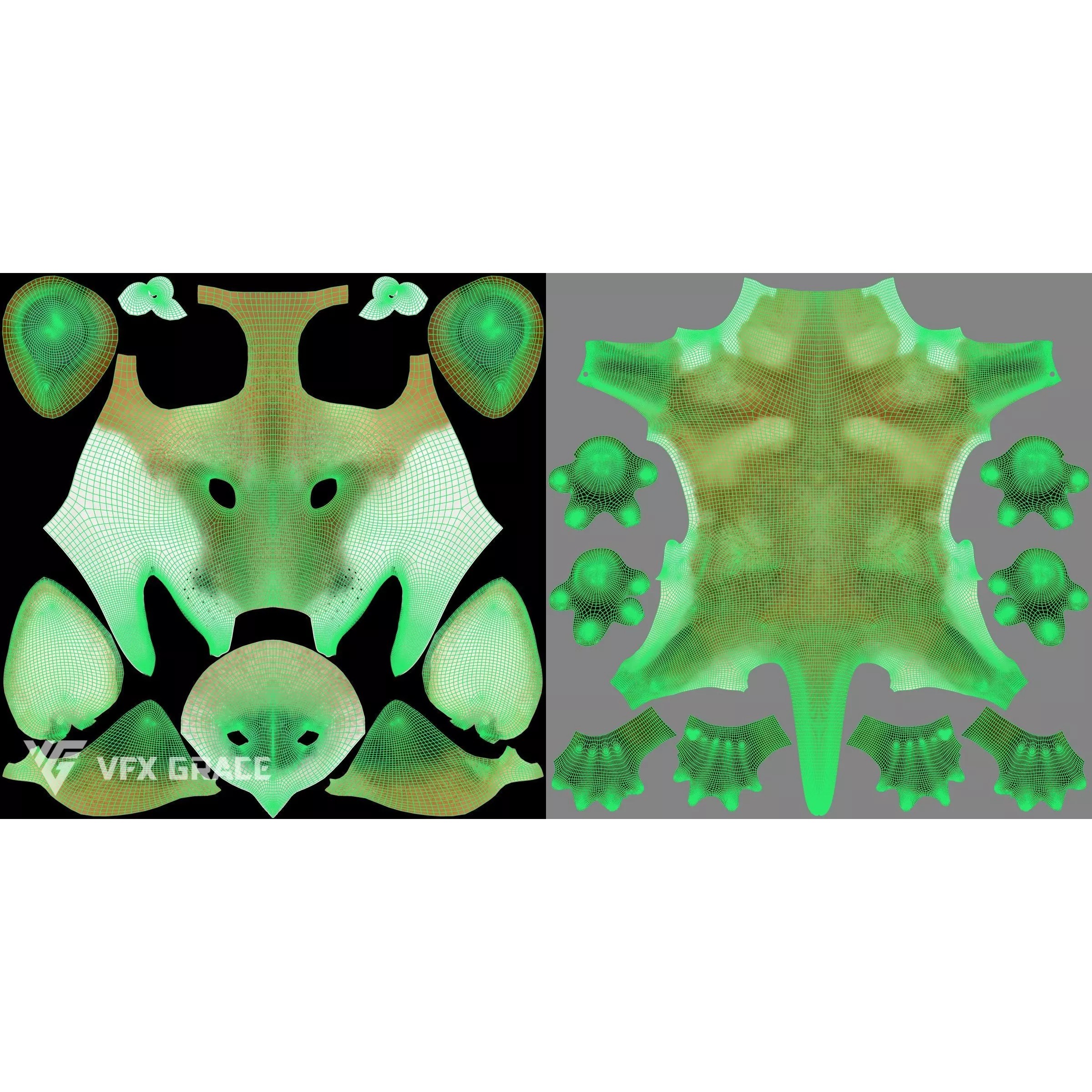 Red Fox Rigged - Game-Ready 3D Model - View 20