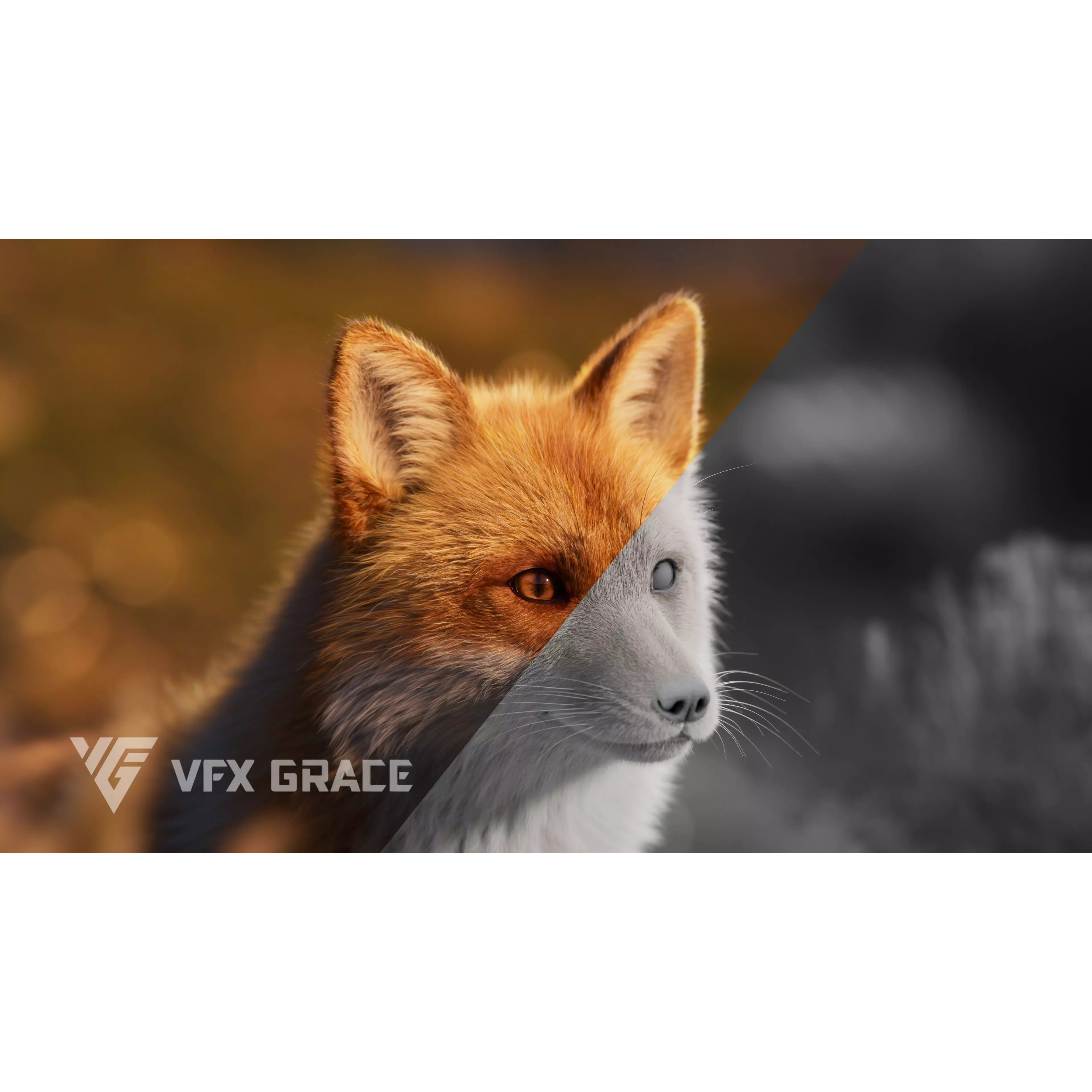 Red Fox Rigged - Game-Ready 3D Model - View 3