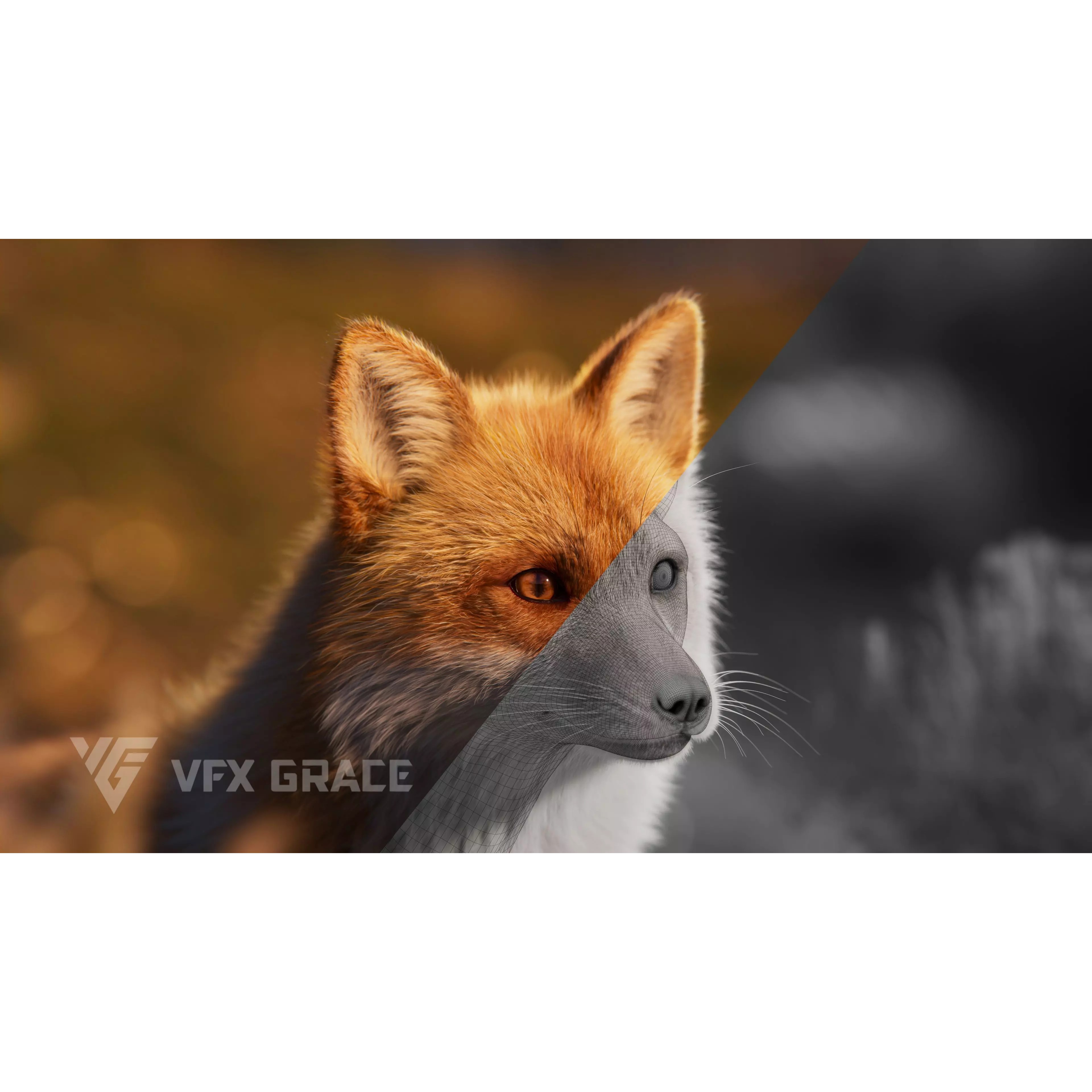 Red Fox Rigged - Game-Ready 3D Model - View 4