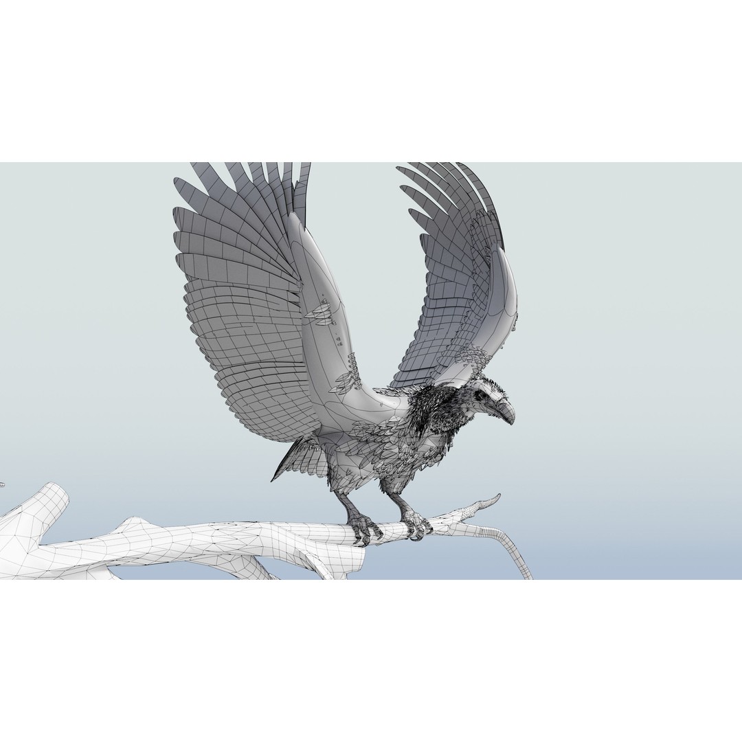 Griffon Vulture 3D Model – Rigged Low-Poly Asset for Blender - View 13