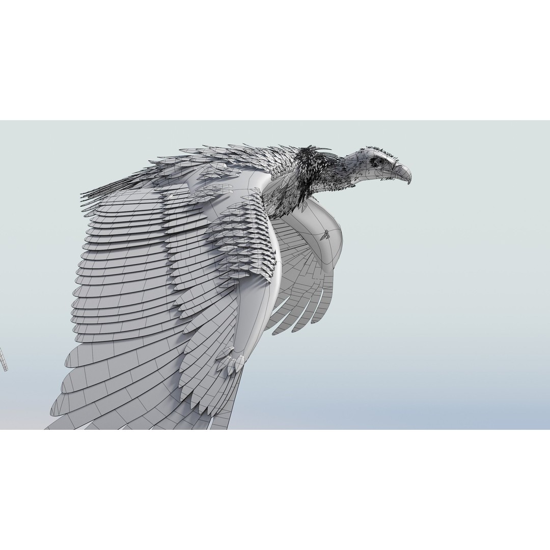 Griffon Vulture 3D Model – Rigged Low-Poly Asset for Blender - View 15