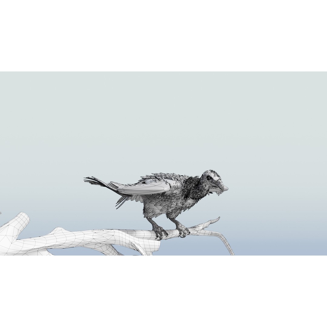 Griffon Vulture 3D Model – Rigged Low-Poly Asset for Blender - View 19