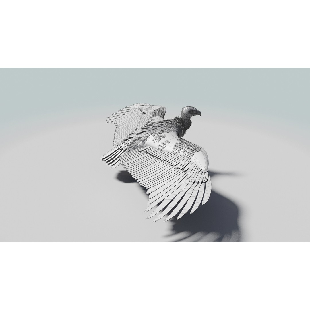 Griffon Vulture 3D Model – Rigged Low-Poly Asset for Blender - View 21