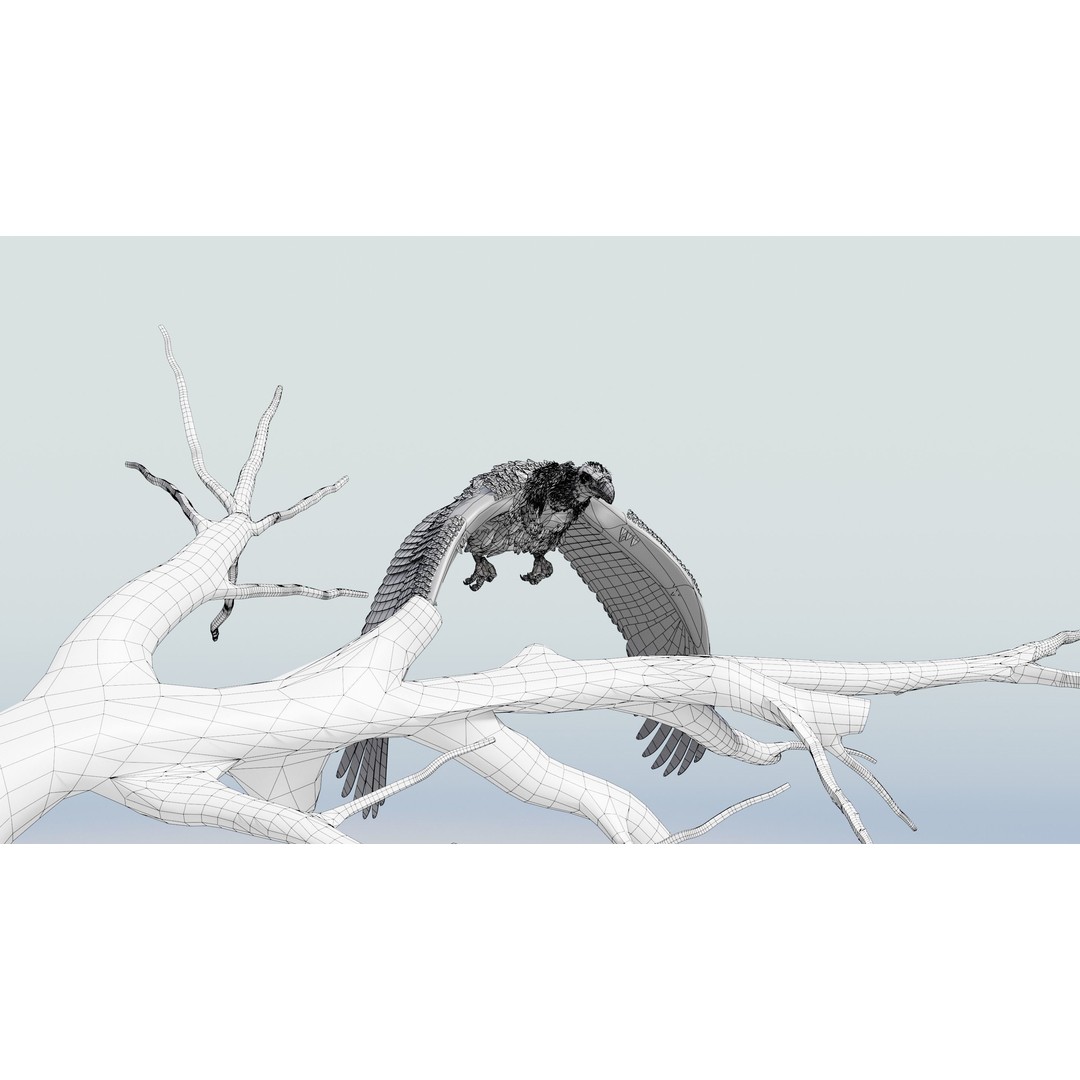 Griffon Vulture 3D Model – Rigged Low-Poly Asset for Blender - View 5