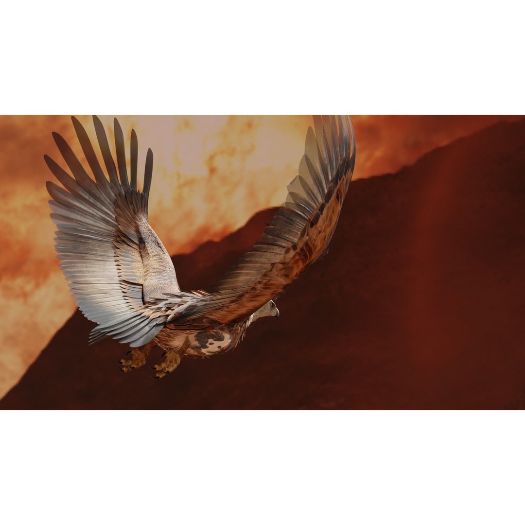 Griffon Vulture 3D Model – Rigged Low-Poly Asset for Blender - View 6