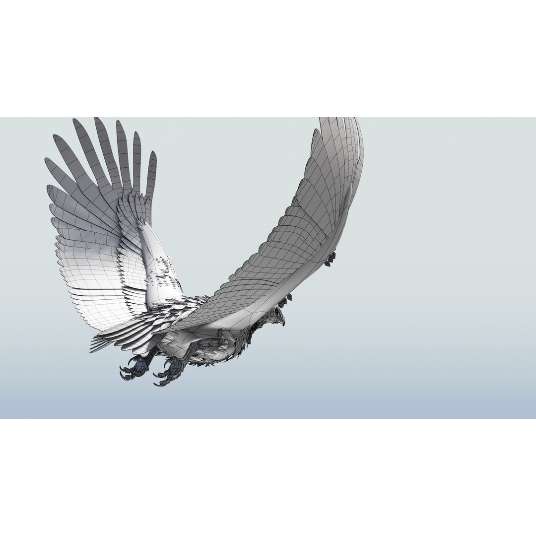 Griffon Vulture 3D Model – Rigged Low-Poly Asset for Blender - View 7