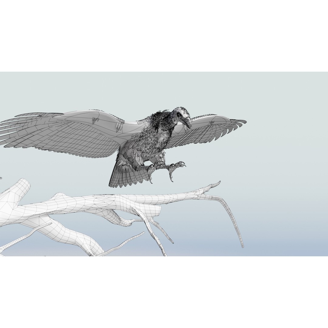Griffon Vulture 3D Model – Rigged Low-Poly Asset for Blender - View 9