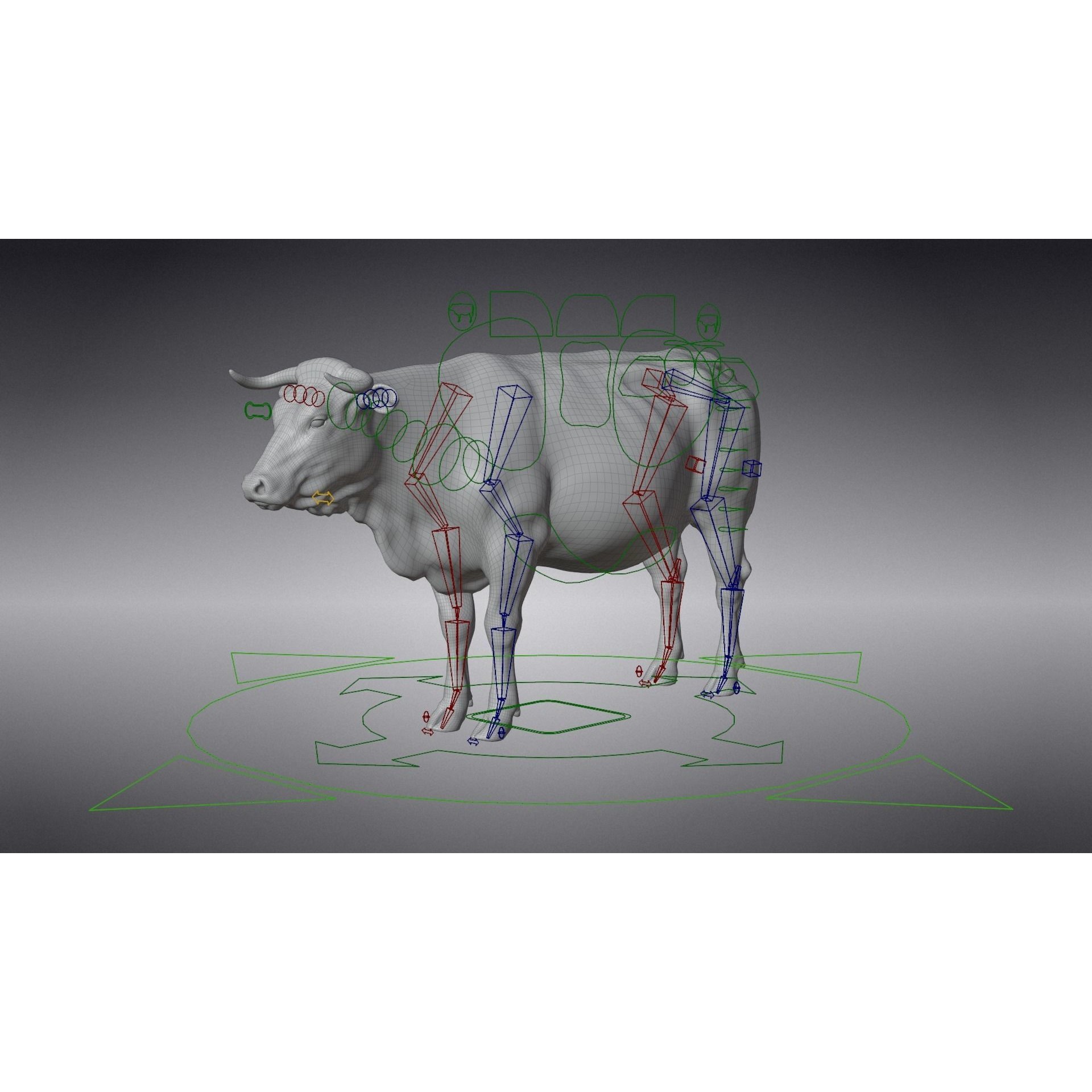 Cattle Cow - Animated Rigged Game-Ready 3D Model - View 22
