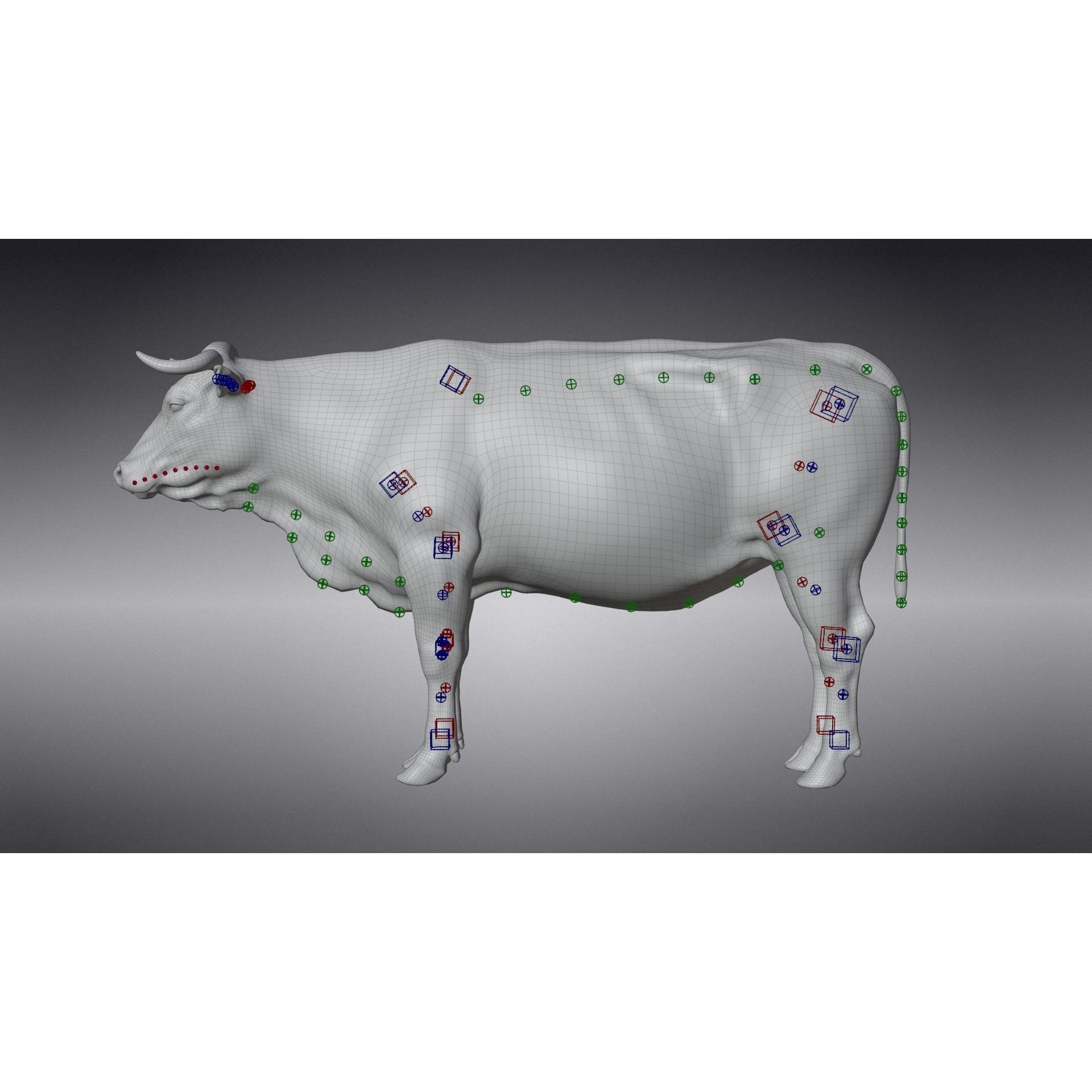 Cattle Cow - Animated Rigged Game-Ready 3D Model - View 24