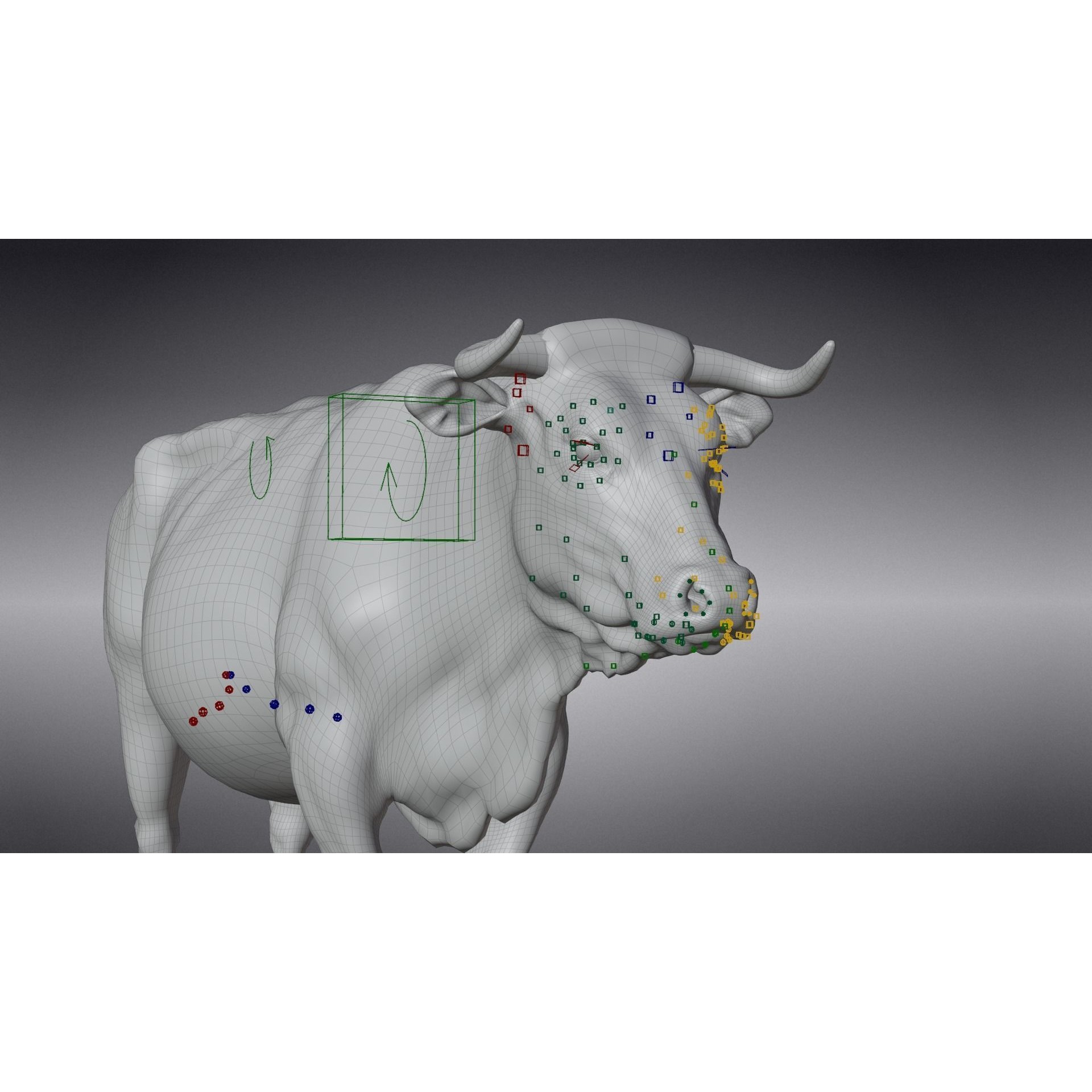 Cattle Cow - Animated Rigged Game-Ready 3D Model - View 25