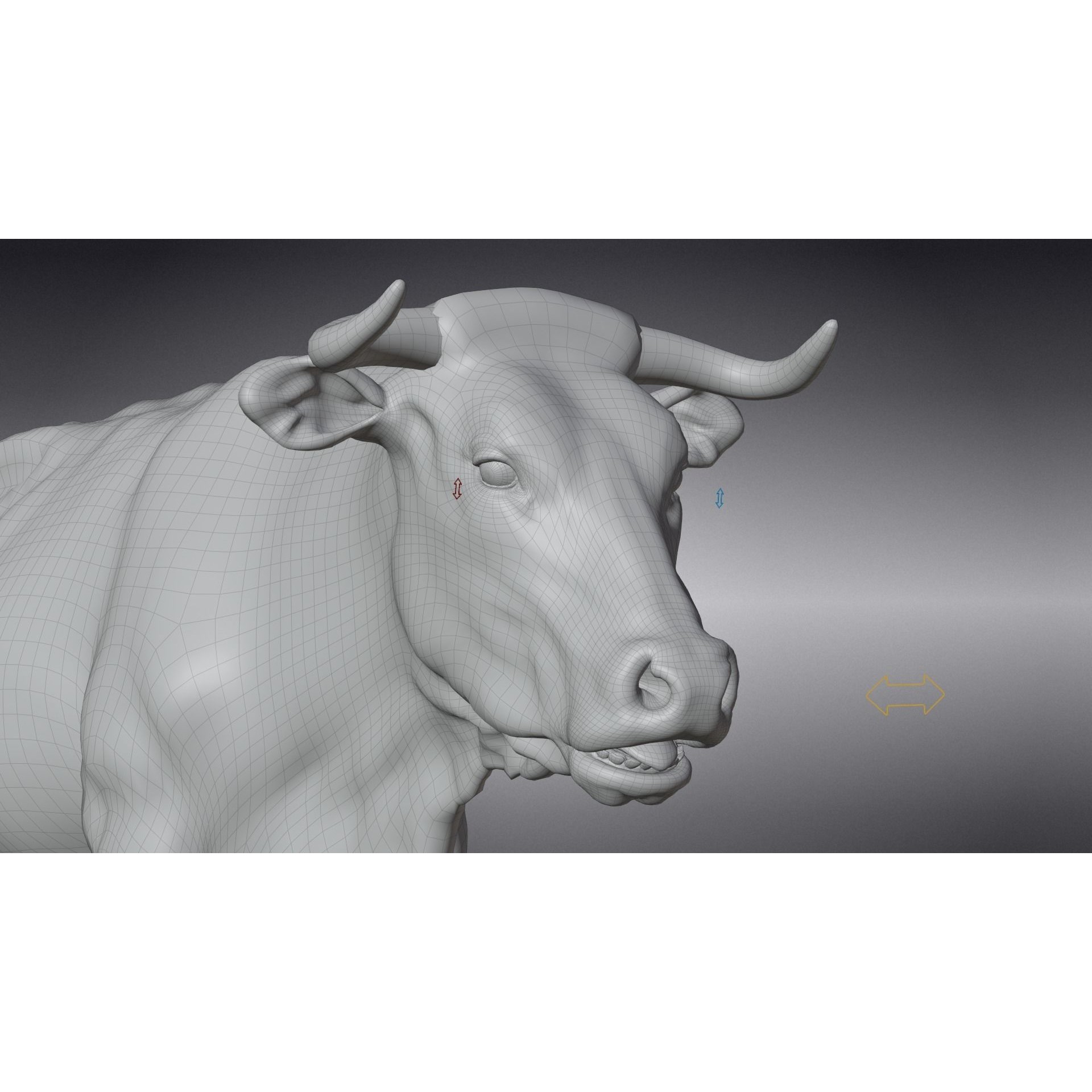 Cattle Cow - Animated Rigged Game-Ready 3D Model - View 27