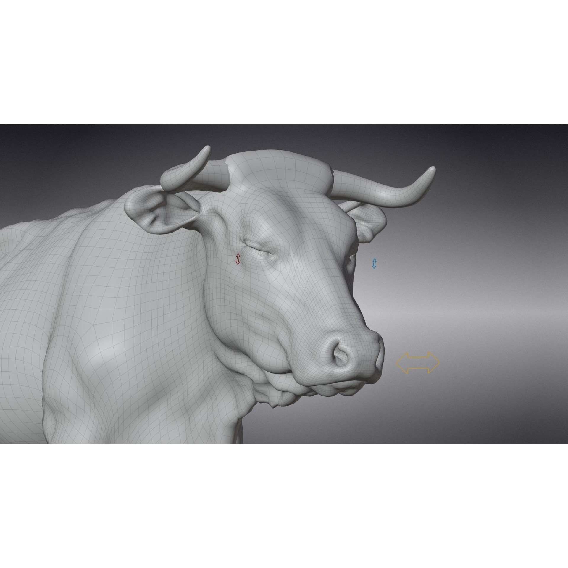 Cattle Cow - Animated Rigged Game-Ready 3D Model - View 28