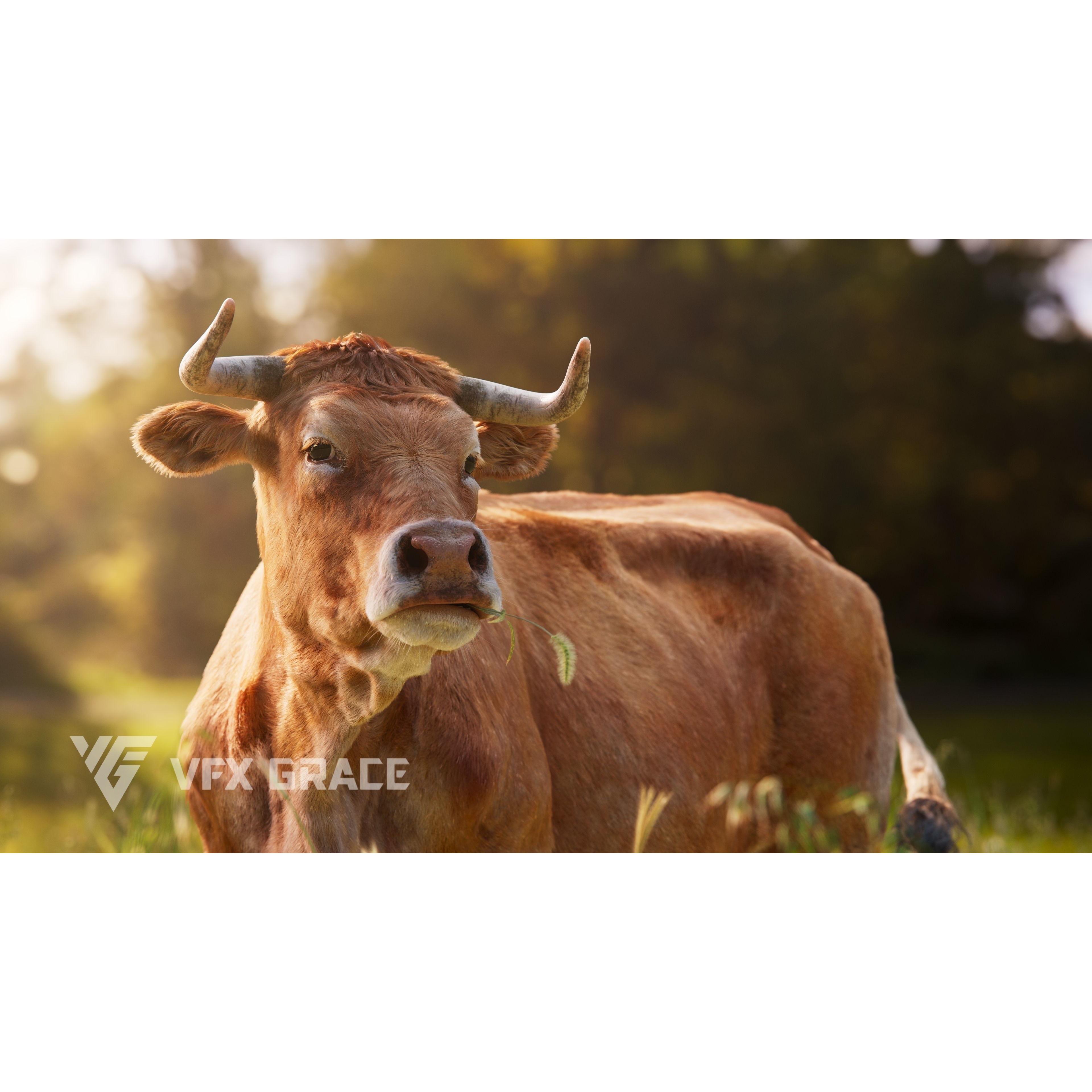 Cattle Cow - Animated Rigged Game-Ready 3D Model - View 3