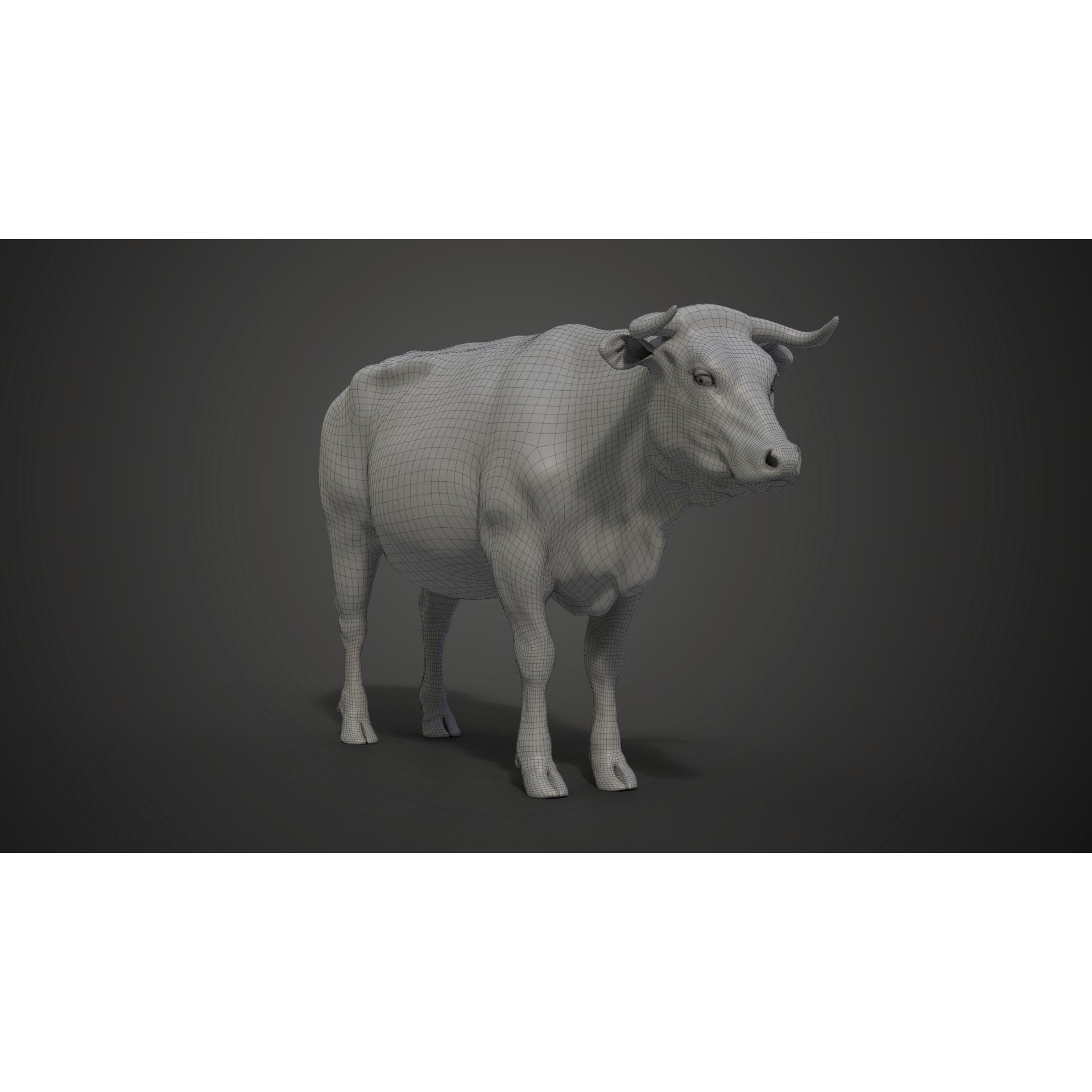 Cattle Cow - Animated Rigged Game-Ready 3D Model - View 30