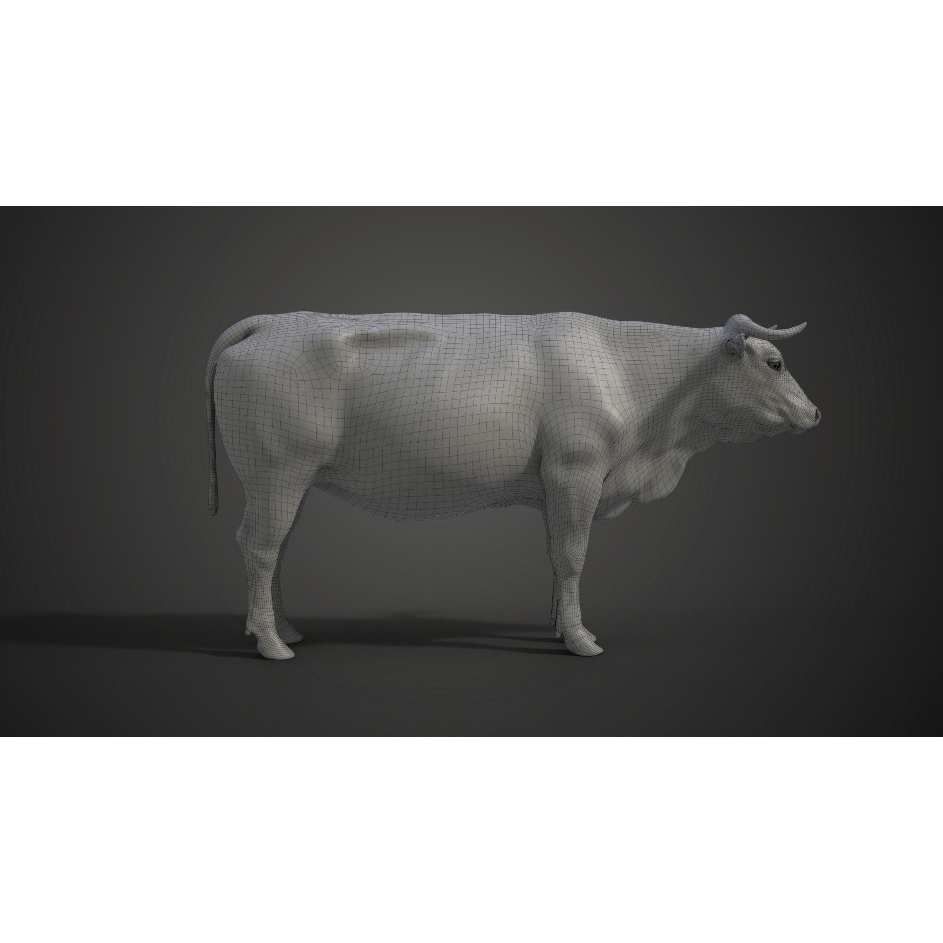 Cattle Cow - Animated Rigged Game-Ready 3D Model - View 31