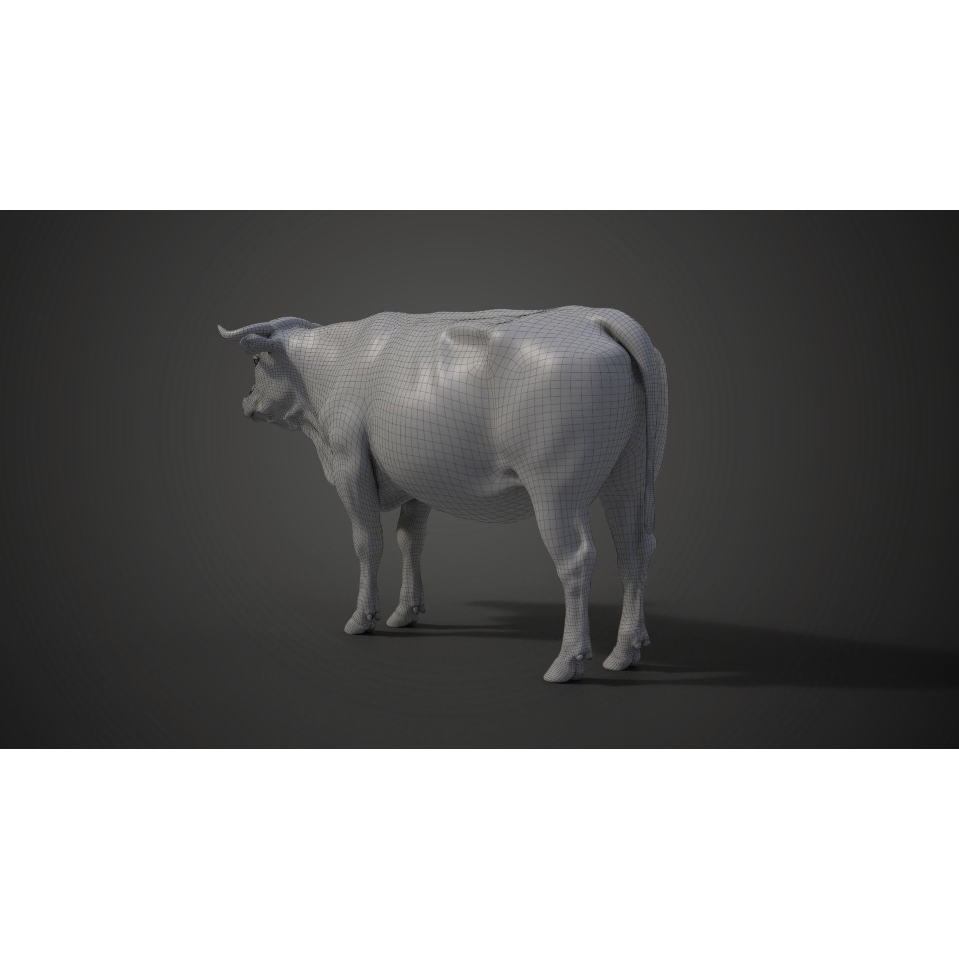 Cattle Cow - Animated Rigged Game-Ready 3D Model - View 32